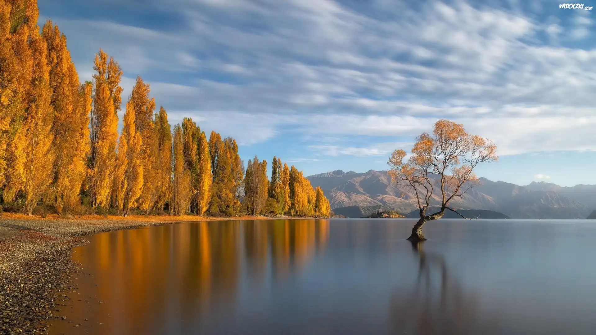 Nowa Zelandia, Jezioro, Wanaka, Drzewa, Jesień