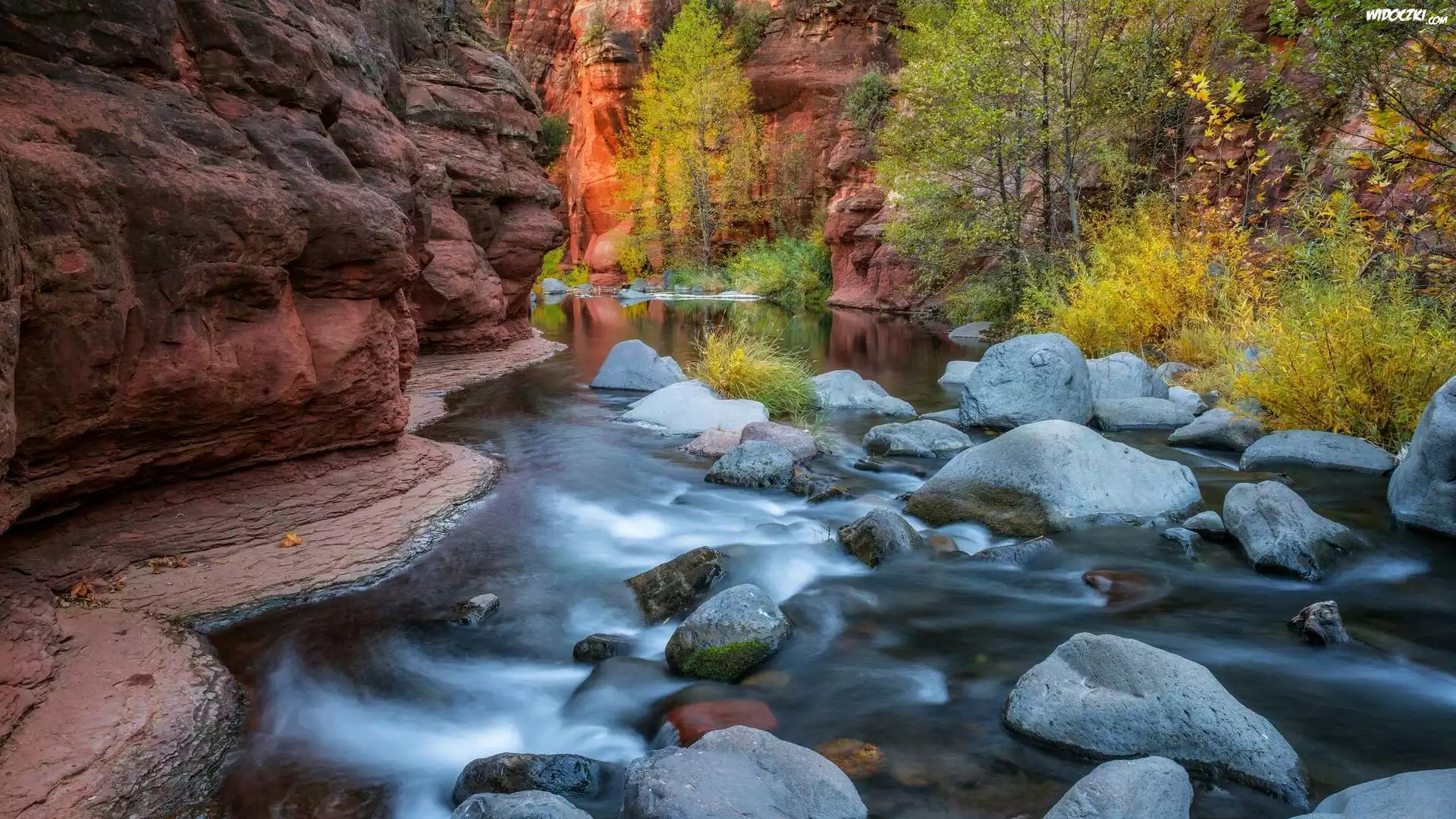 Stany Zjednoczone, Arizona, Sedona, Wąwóz Oak Creek Canyon, Rzeka Oak Creek, Skały, Kamienie, Drzewa