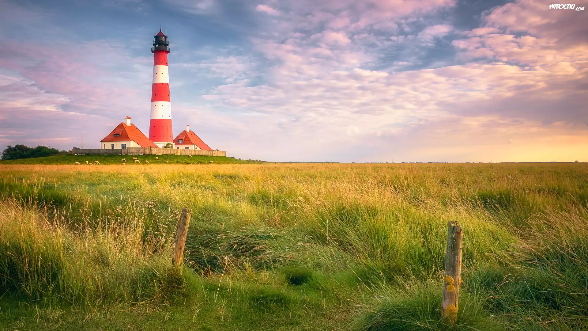 Latarnia morska Westerheversand, Łąka, Trawa, Chmury, Wschód słońca, Gmina Westerhever, Niemcy