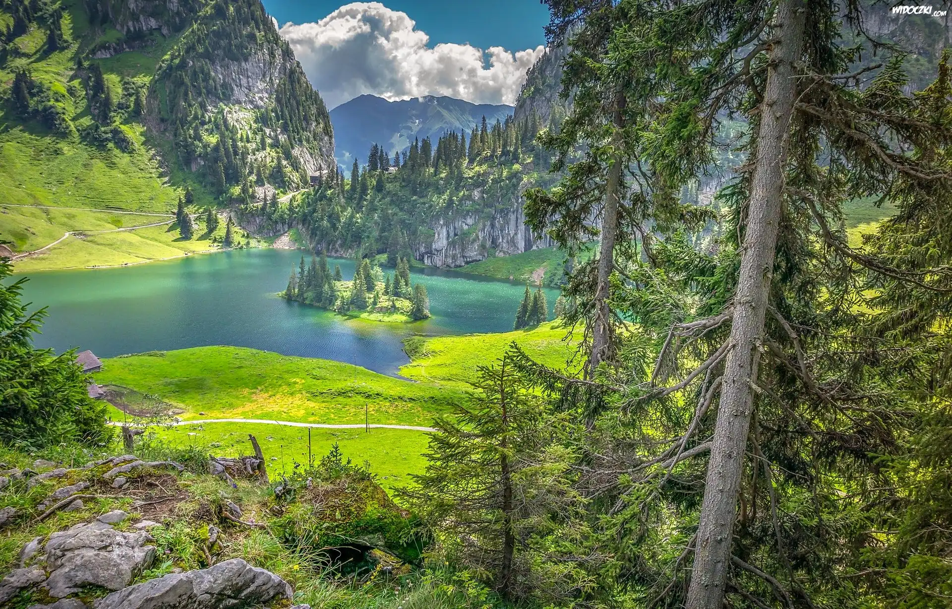 Szwajcaria, Góry, Alpy Berneńskie, Jezioro Hinterstockensee, Las, Wyspa, Światło