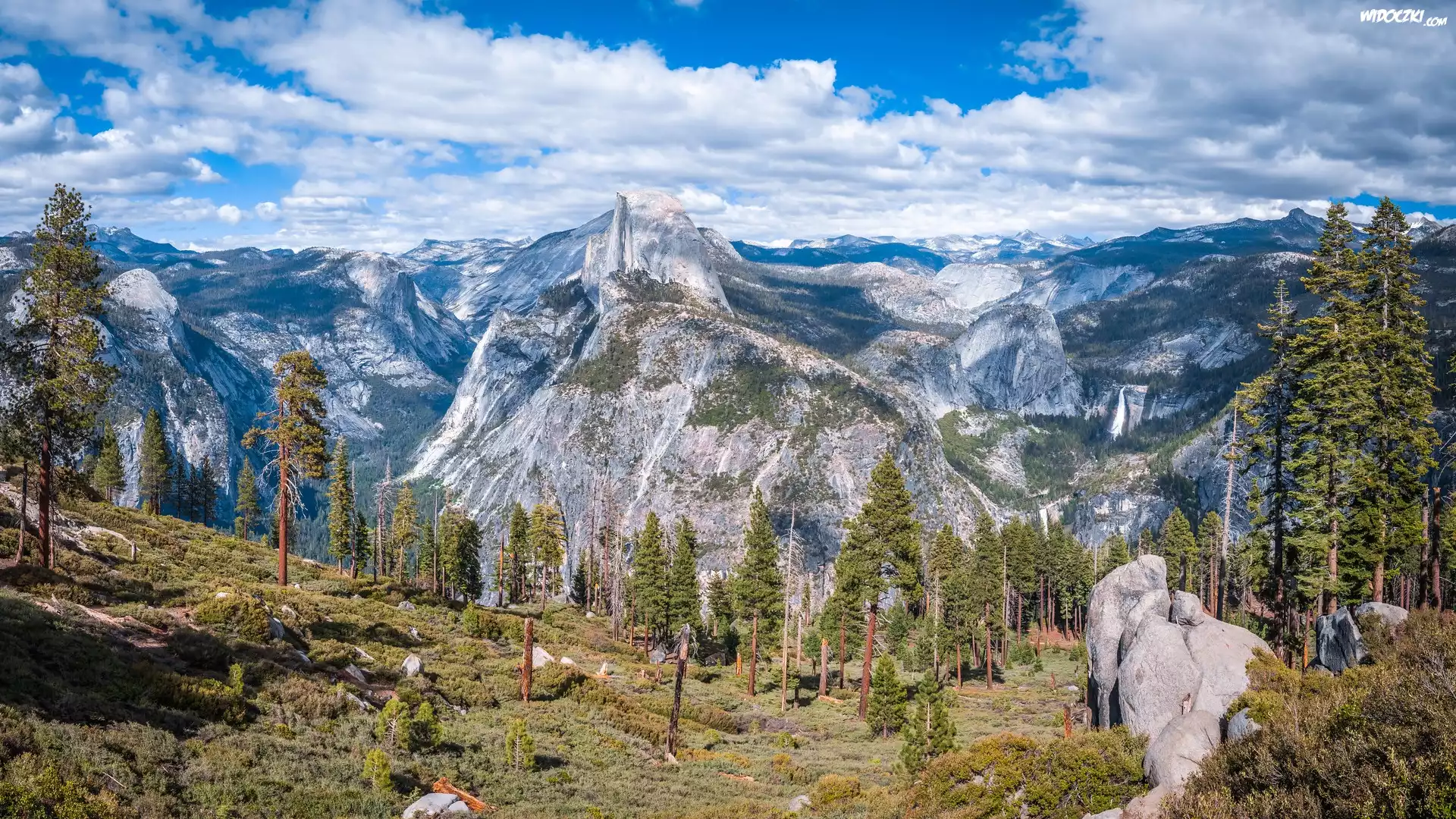 Widok, Punkt widokowy Glacier Point, Dolina, Yosemite Valley, Góry, Sierra Nevada, Szczyt Half Dome, Drzewa, Sosny, Park Narodowy Yosemite, Kalifornia, Stany Zjednoczone