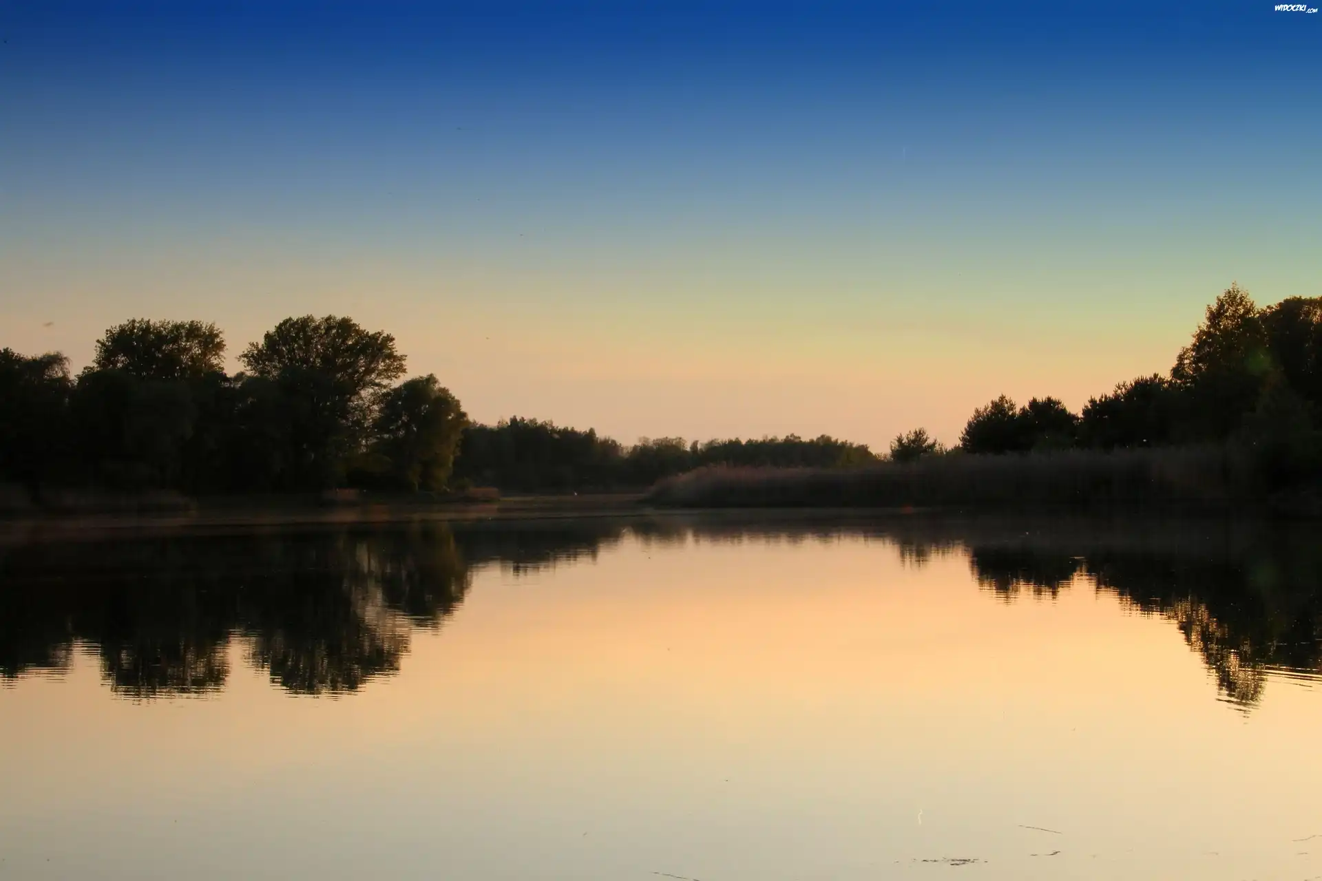 Wieczór, Jezioro, Drzewa, Zarośla