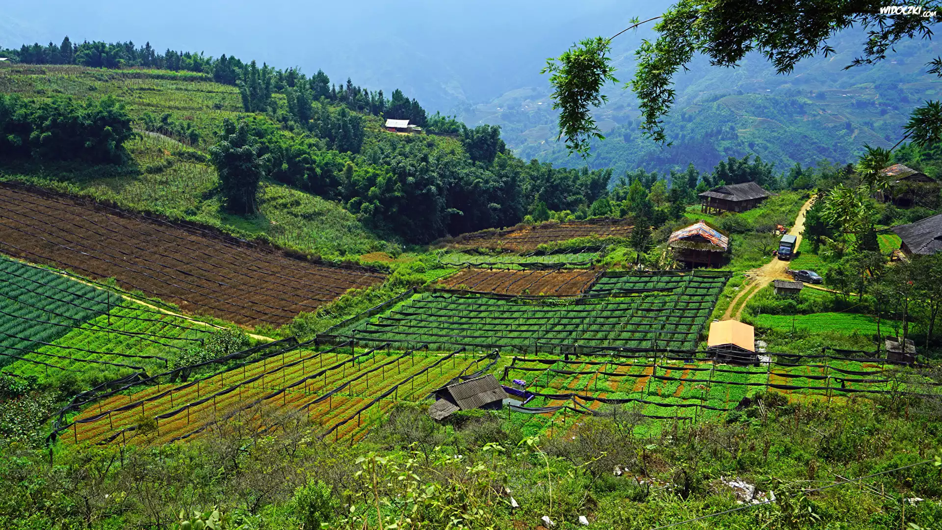 Wzgórza, Pola, Domy, Dolina Muong Hoa Valley, Sapa, Wietnam