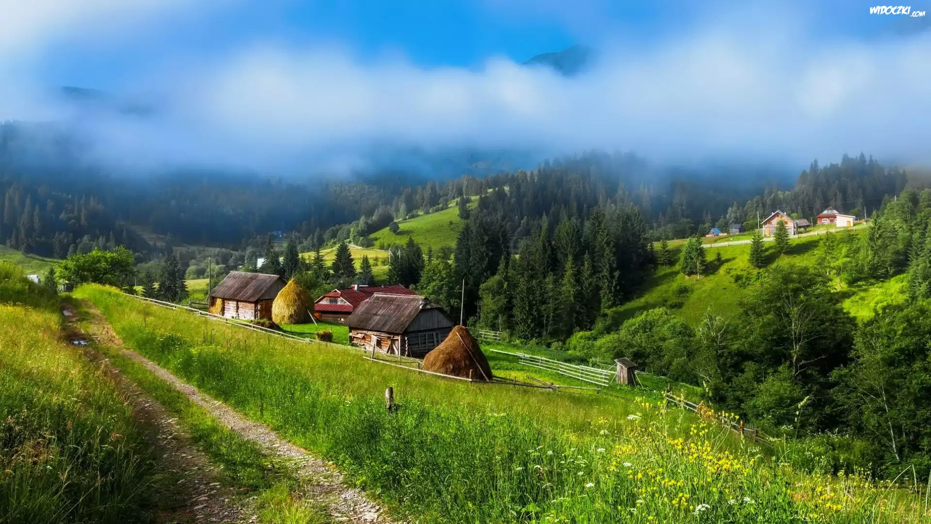 Ukraina, Wioska, Domy, Droga, Góry Karpaty, Mgła