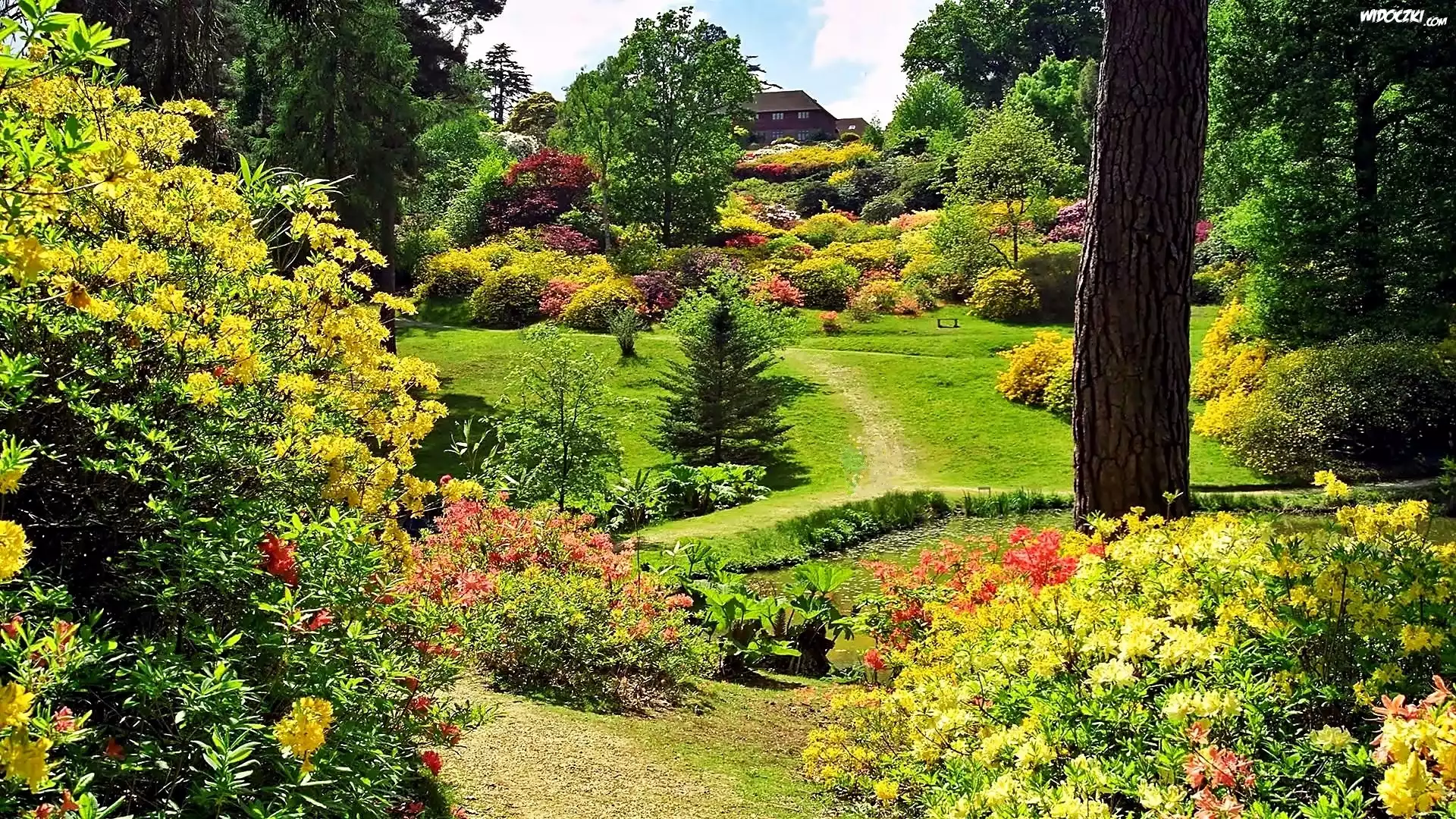 Wiosna, Park