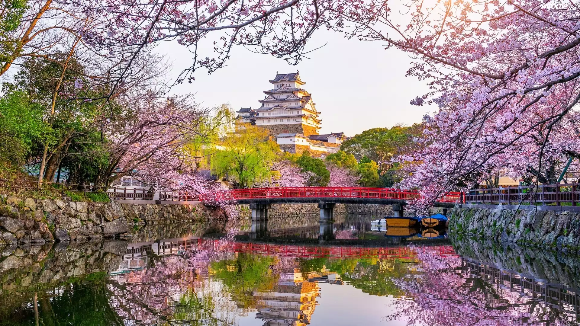 Wiosna, Zamek Himeji, Zamek Białej Czapli, Okwiecone, Gałęzie, Drzewa, Kanał, Most, Himeji, Japonia