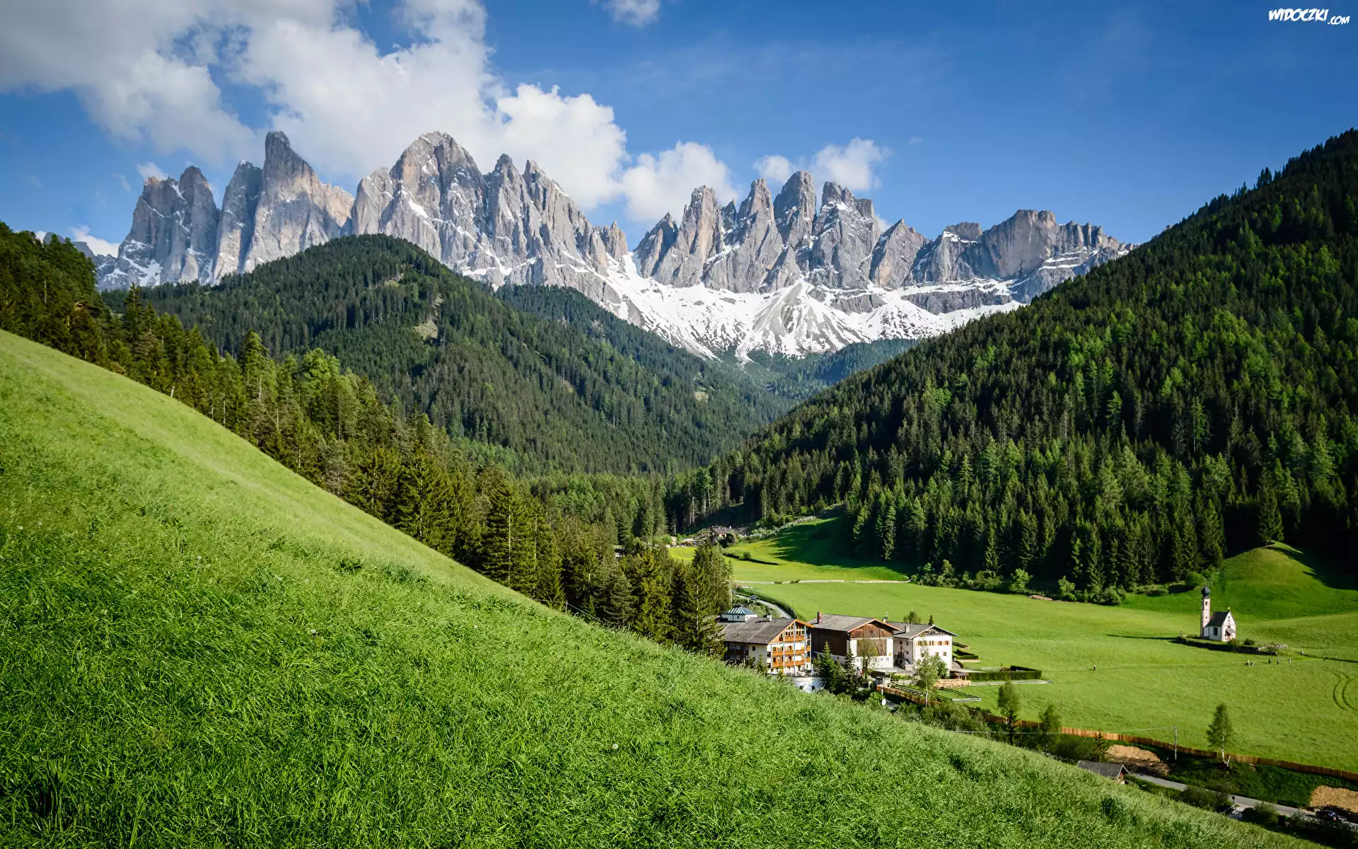 Włochy, Południowy Tyrol, Góry, Dolomity, Masyw Odle, Wieś, Santa Maddalena, Dolina Val di Funes, Drzewa, Trawa