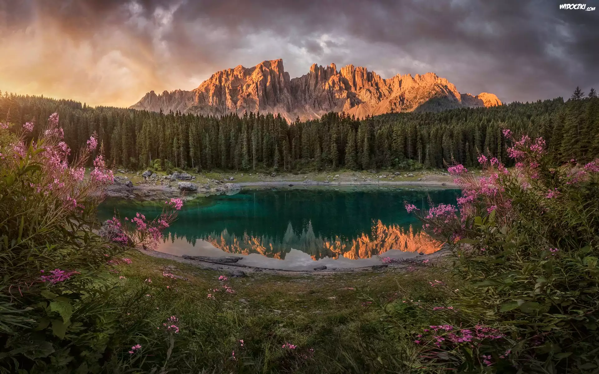 Jezioro, Lago di Carezza, Góry, Alpy, Dolomity, Południowy Tyrol, Włochy
