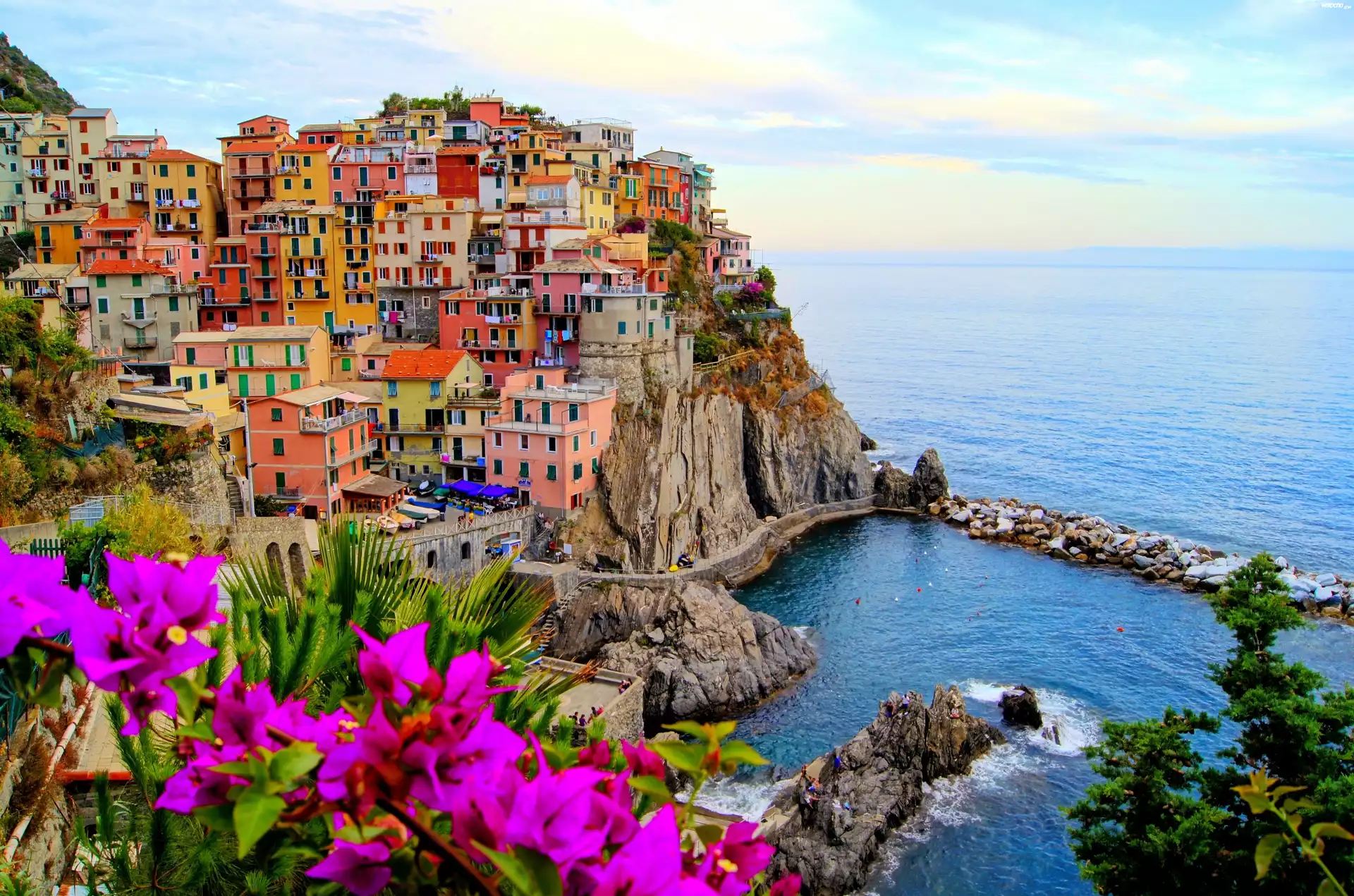 Manarola, Włochy, Wybrzeże