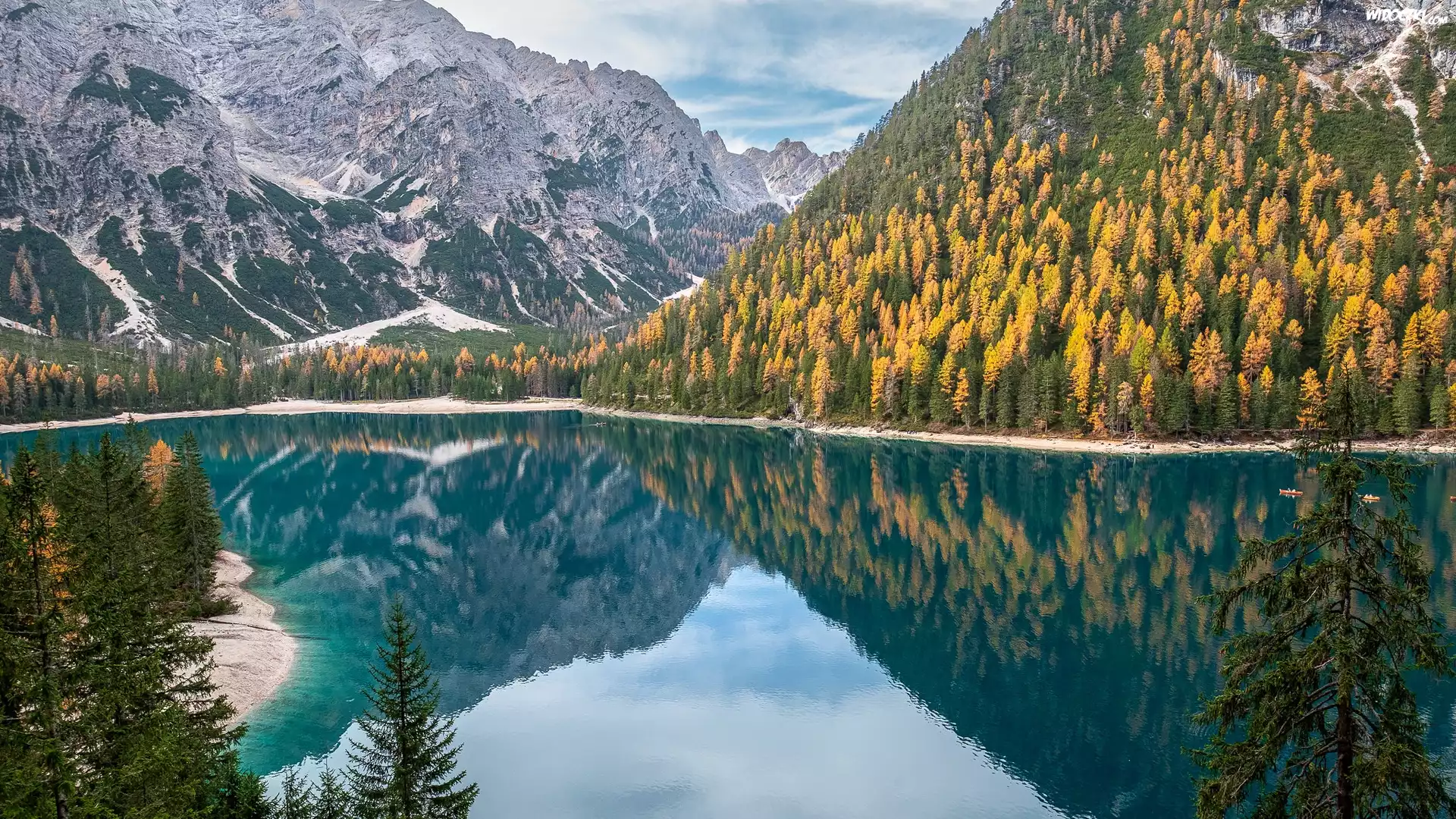 Góry, Jezioro, Pragser Wildsee, Żółte, Drzewa, Odbicie, Włochy
