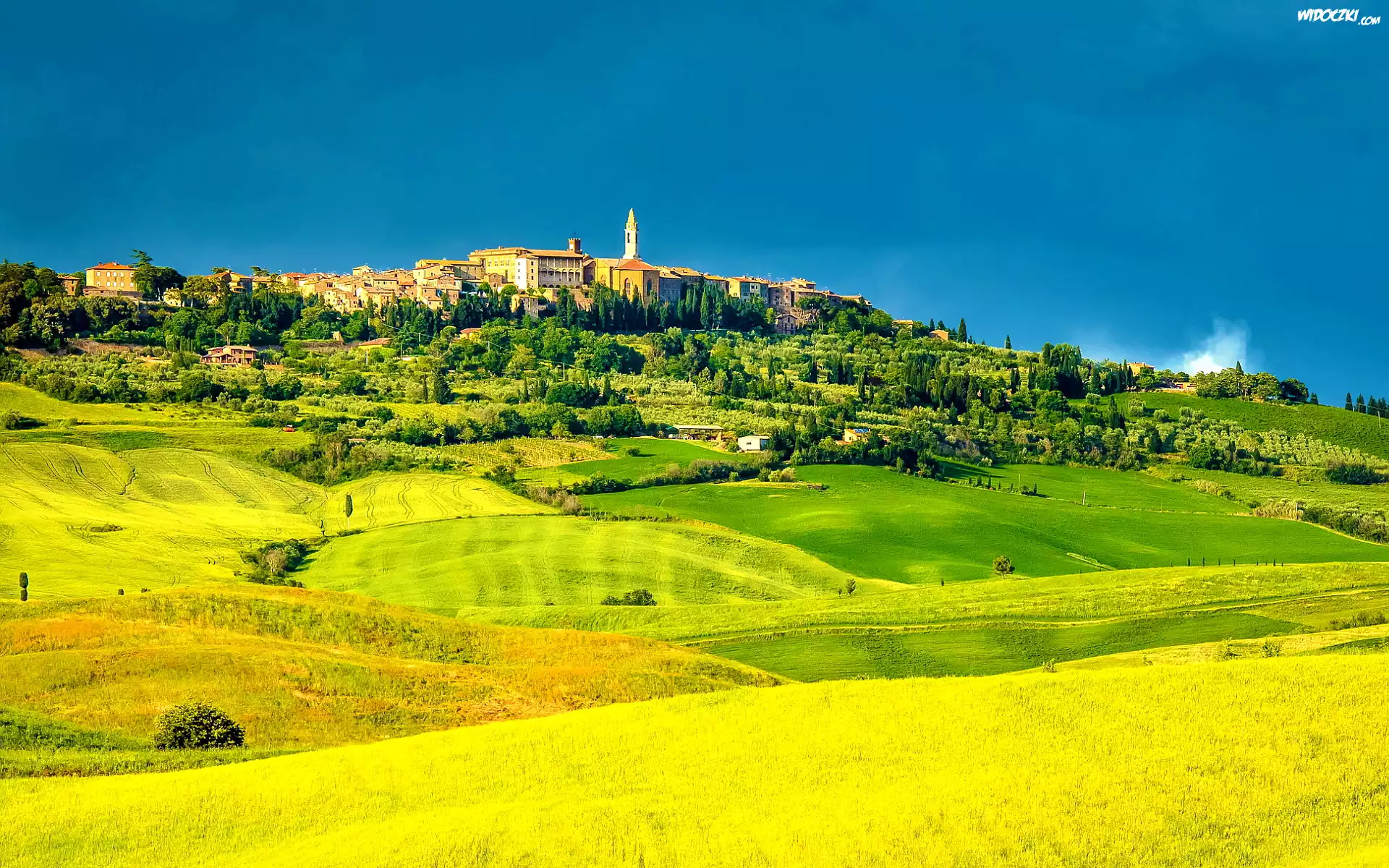 Włochy, Pienza, Toskania, Pola