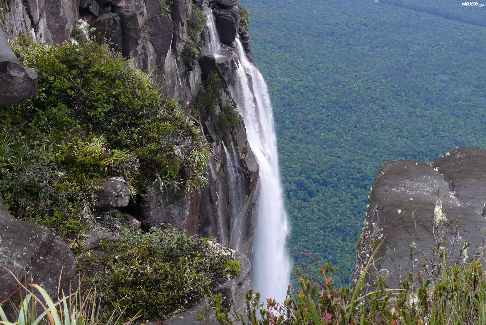 Wodospad, Salto Angel, Wenezuela