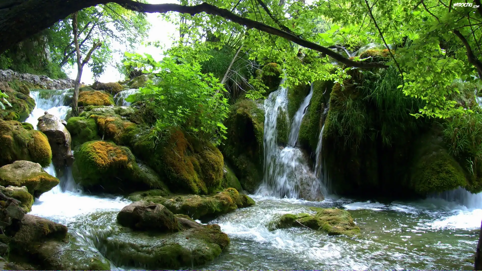 Wodospad, Skały, Drzewa, Plitvice