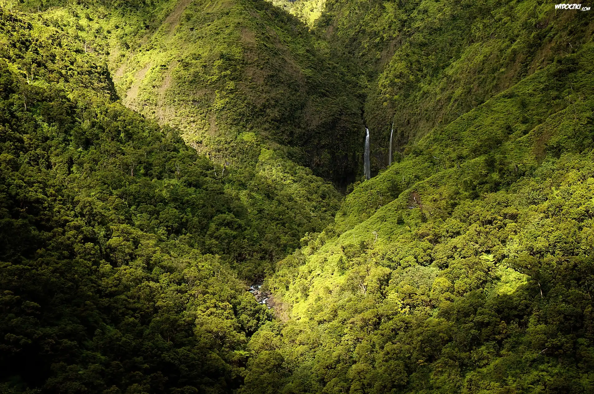 Wodospad, Góry, Las, Kauai, Hawaje