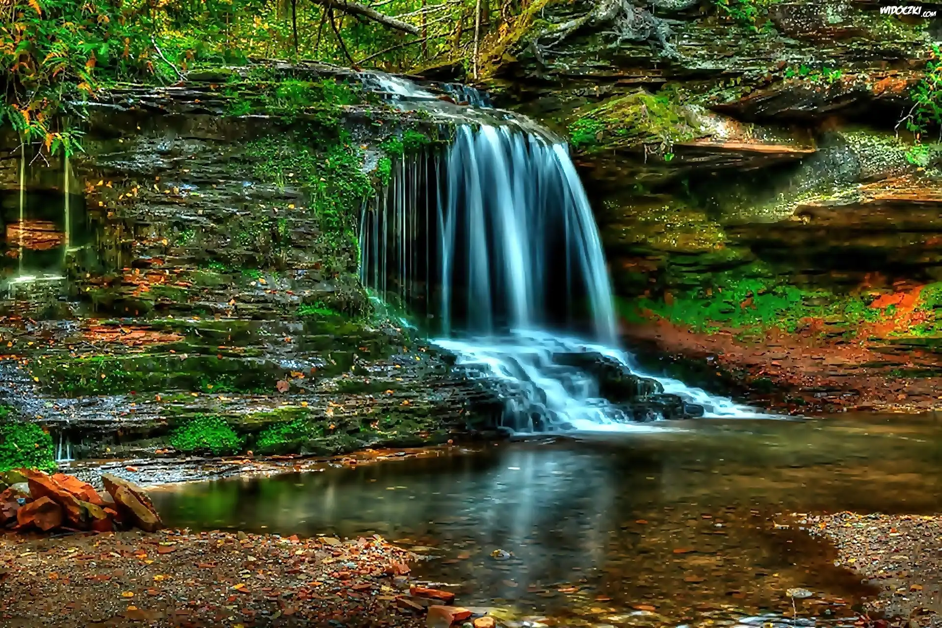 Stany Zjednoczone, Stan Wisconsin, Wodospad Lost Creek Falls, Skały, Mchy, Jeziorko