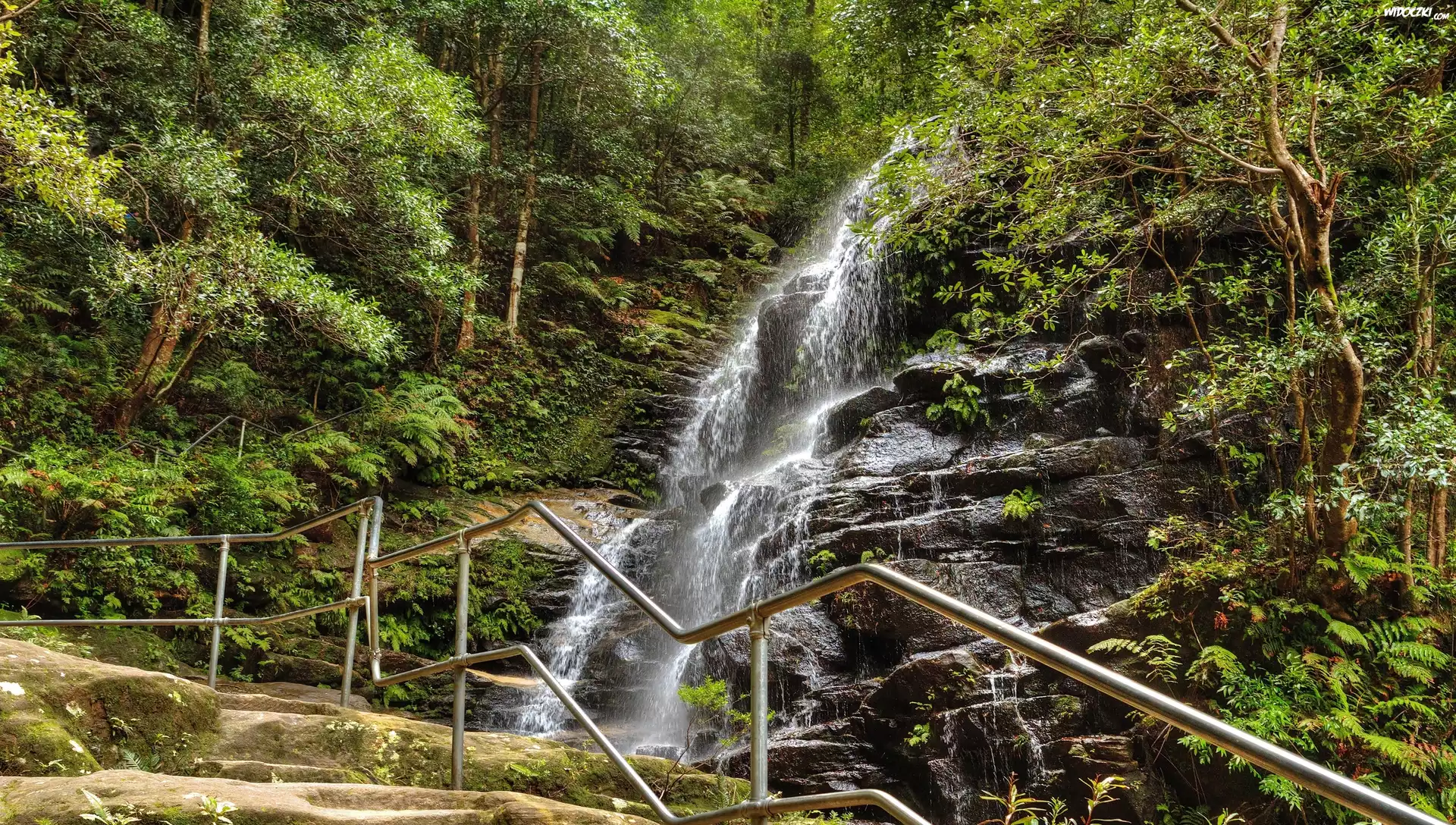 Wodospad Sylvia Falls, Park Narodowy Blue Mountains, Stan Nowa Południowa Walia, Australia, Skały, Las, Drzewa, Paprocie, Ogrodzenie