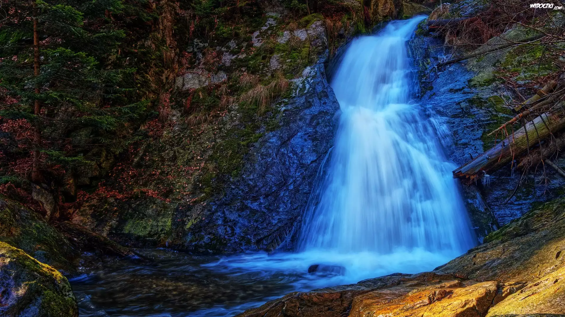 Wodospad, Resov Falls, Skały, Rośliny, Drzewo, Horni Mesto, Czechy