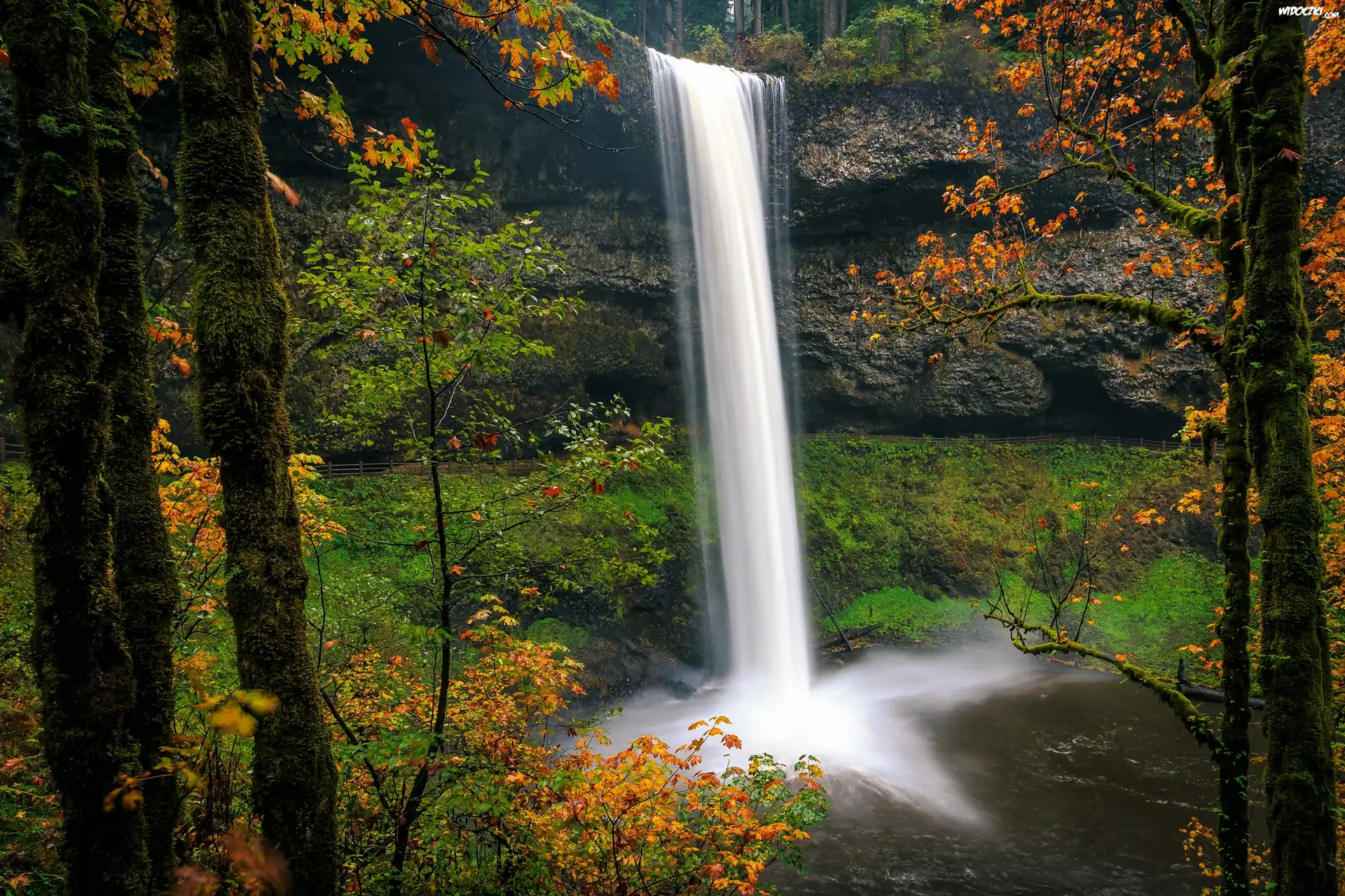 Wodospad South Falls, Skała, Park stanowy Silver Falls, Jesień, Stan Oregon, Stany Zjednoczone