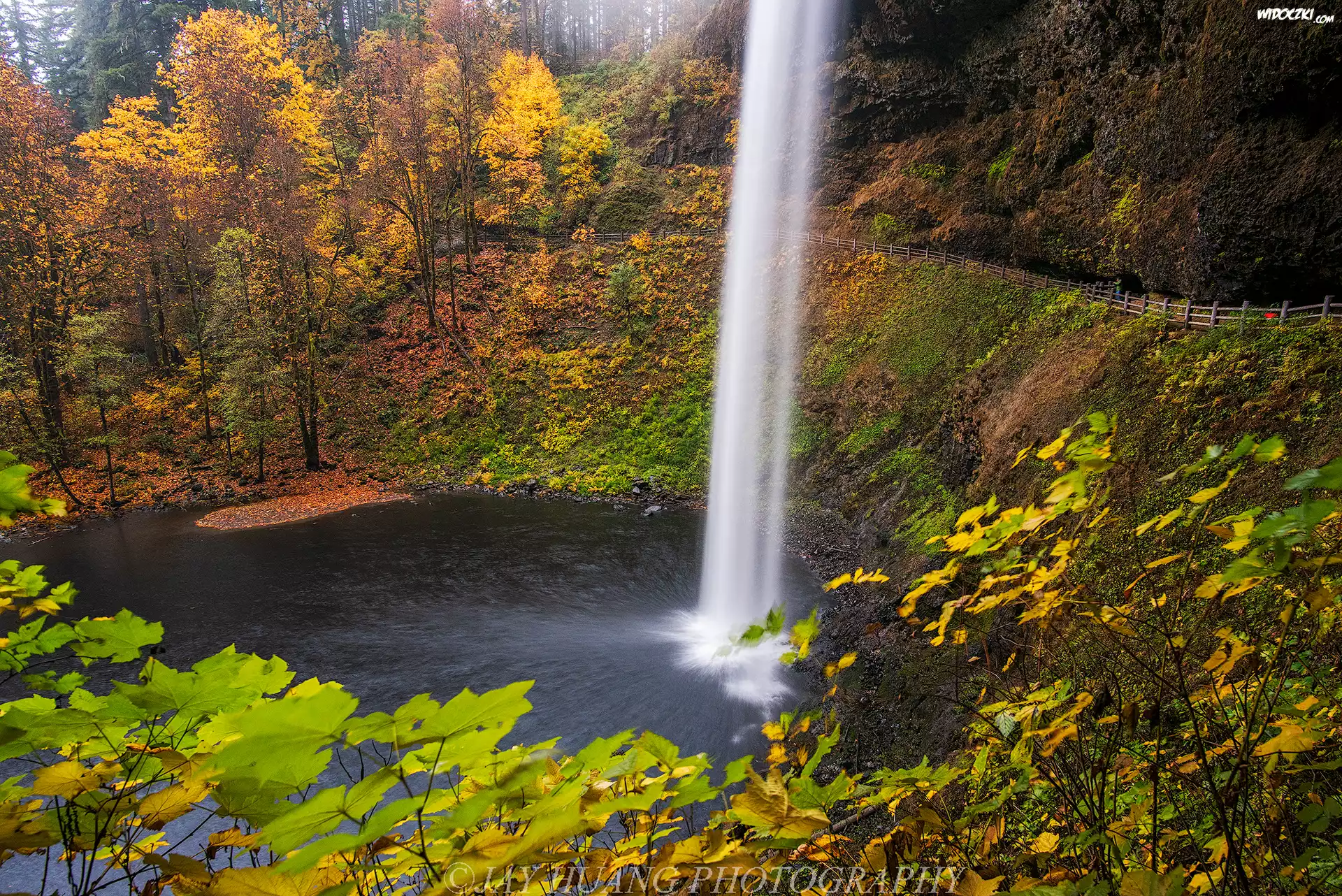 Wodospad South Falls, Las, Drzewa, Jesień, Punkt widokowy, Park miejski Silver Falls, Oregon, Stany Zjednoczone