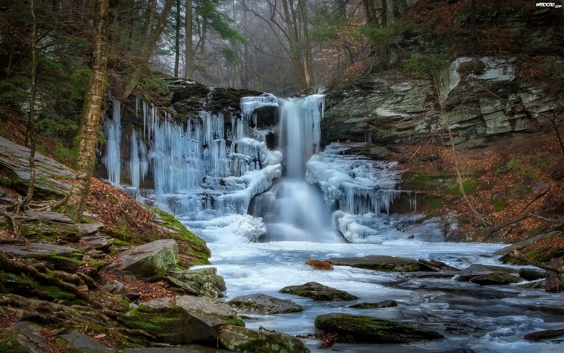 Zamarznięty, Wodospad, Ricketts Gen State Park, USA
