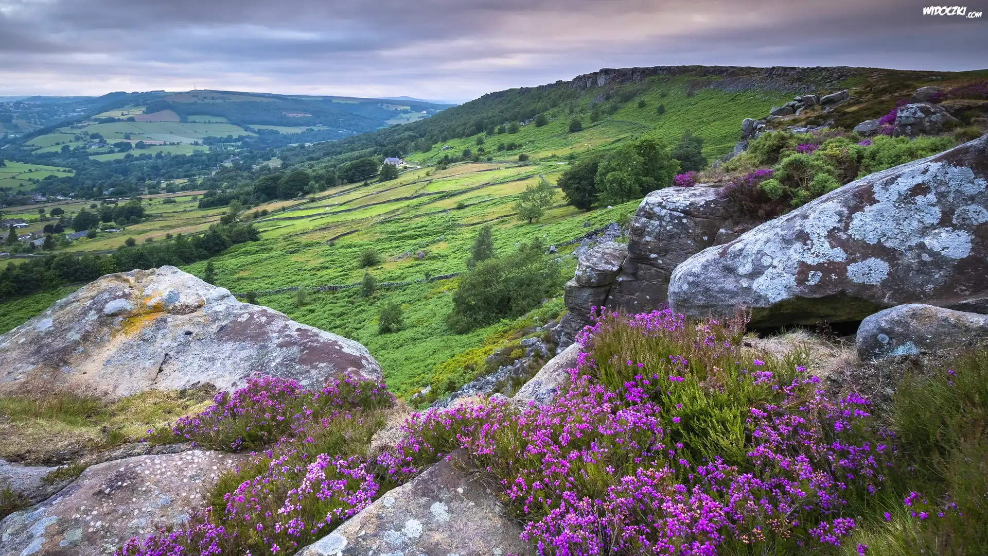 Skały, Wrzosy, Wzgórza, Park Narodowy Peak District, Anglia