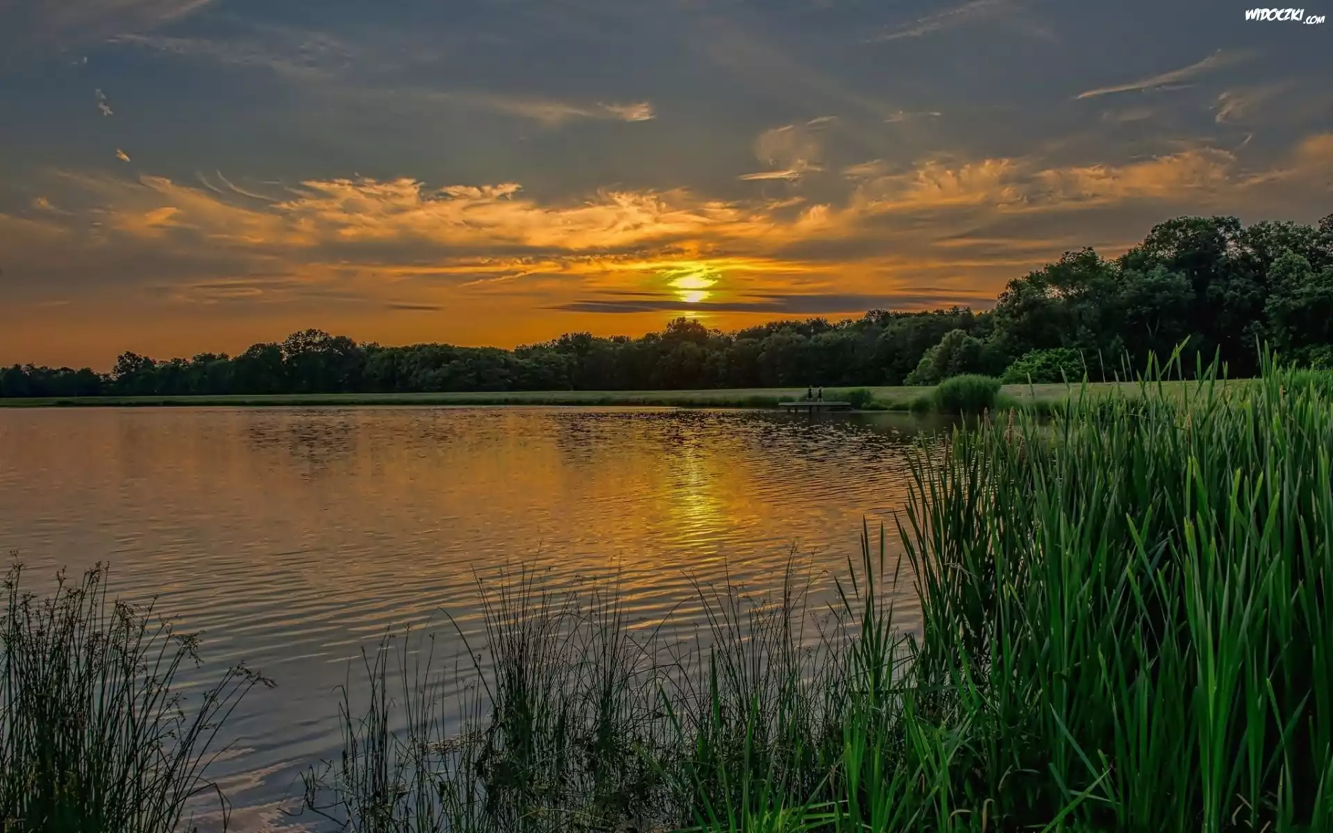 Wschód Słońca, Jezioro, Szuwary