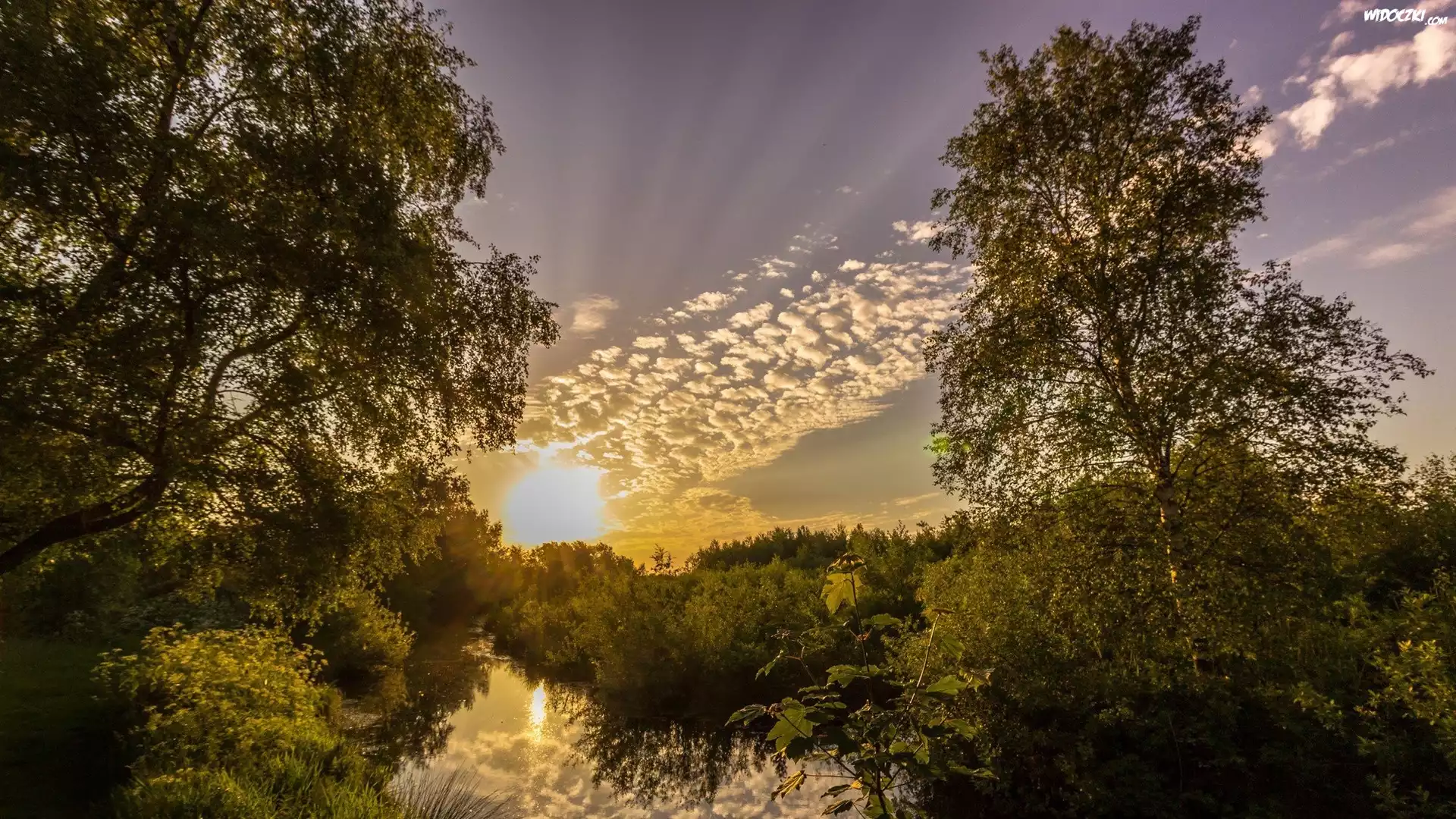 Wschód, Słońca, Rzeka, Las