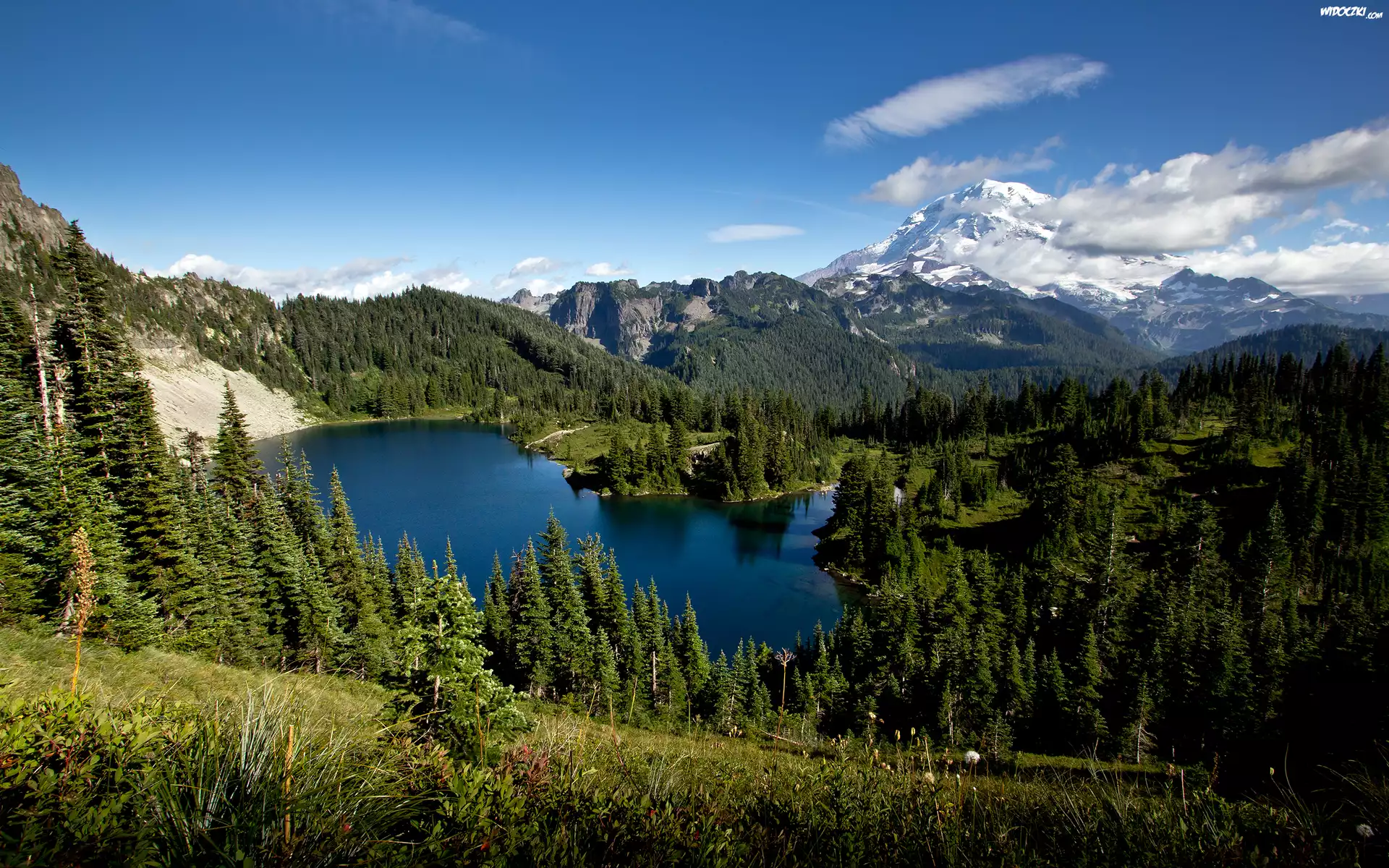 Stany Zjednoczone, Stan Waszyngton, Park Narodowy Mount Rainier, Stratowulkan Mont Rainier, Jezioro Eunice, Góry
