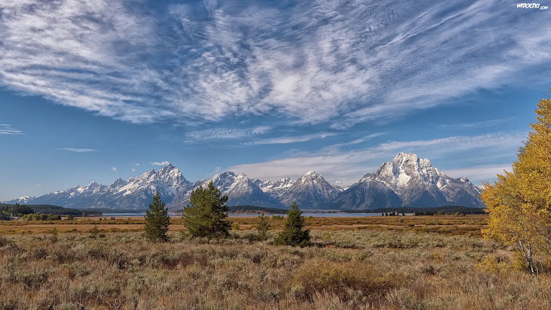 Park Narodowy Grand Teton, Góry, Teton Range, Drzewa, Stan Wyoming, Stany Zjednoczone