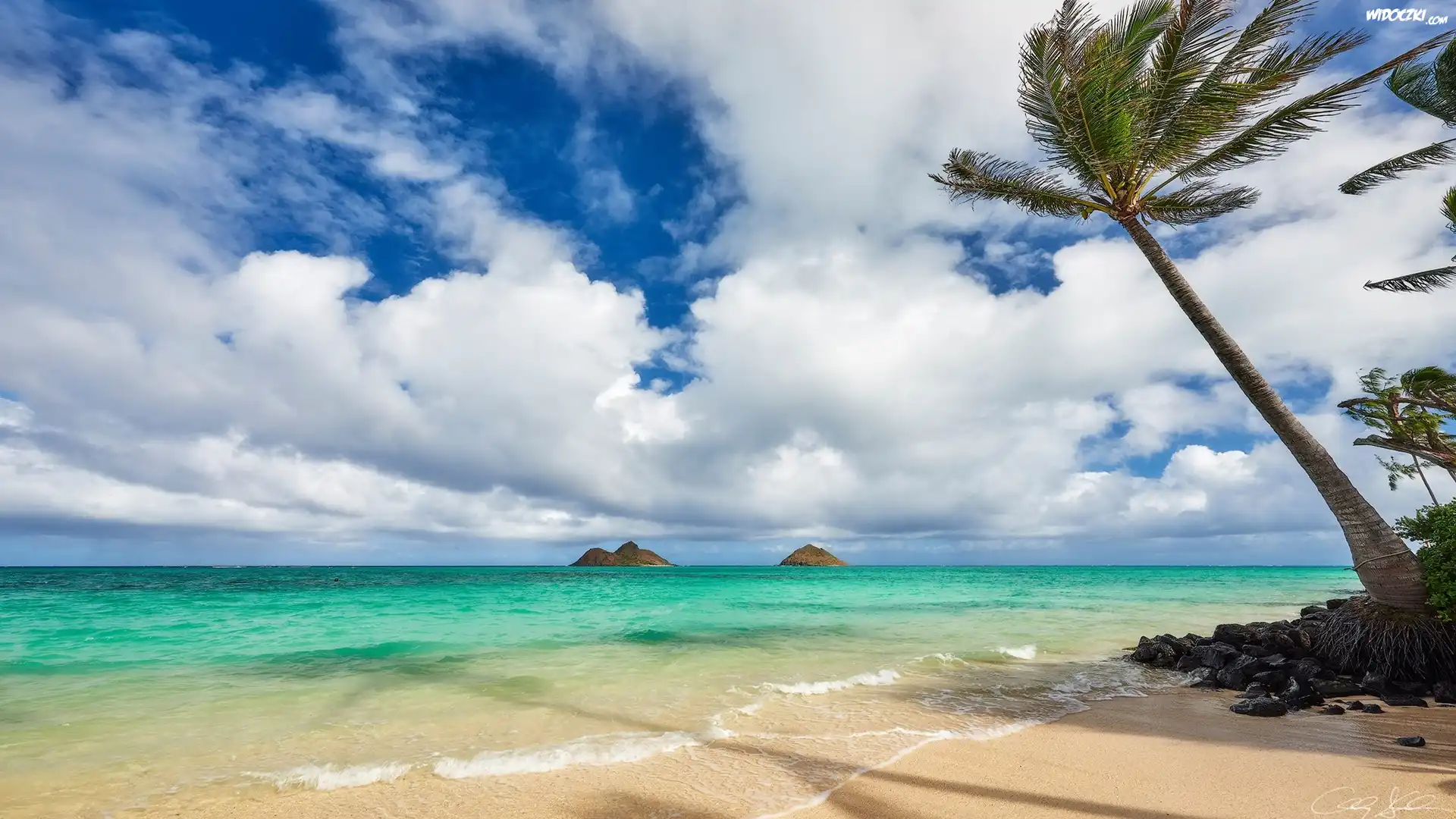 Hawaje, Wyspa Maui, Plaża, Morze, Palmy, Chmury