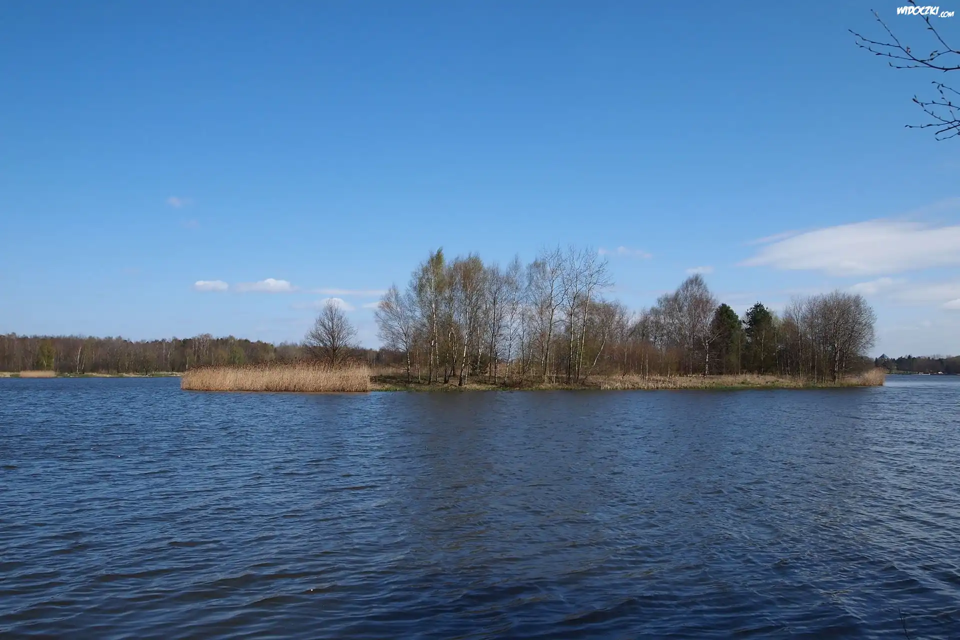 Wyspa, Jezioro