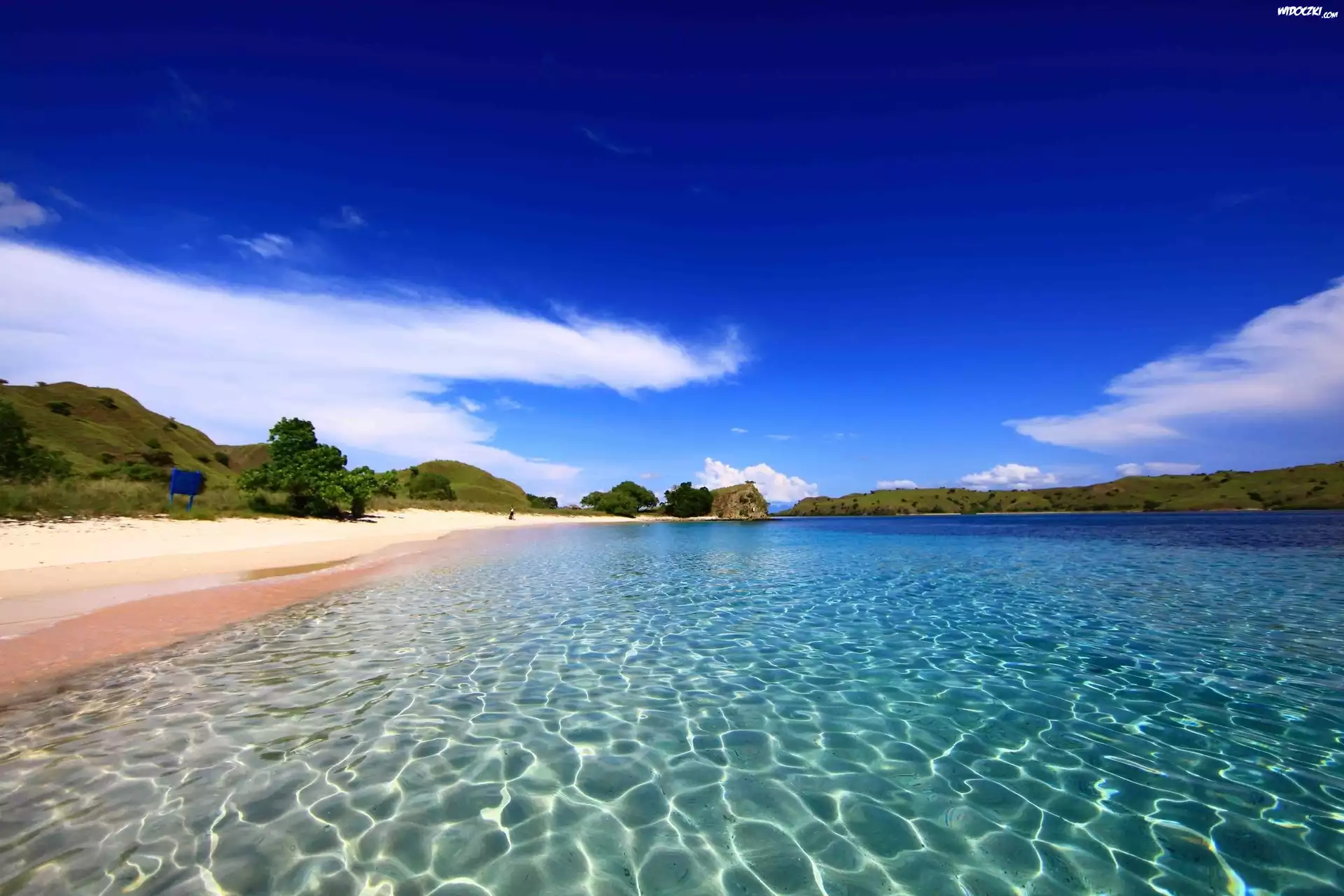 Wyspa, Komodo, Morze, Plaża, Wzgórza, Drzewa