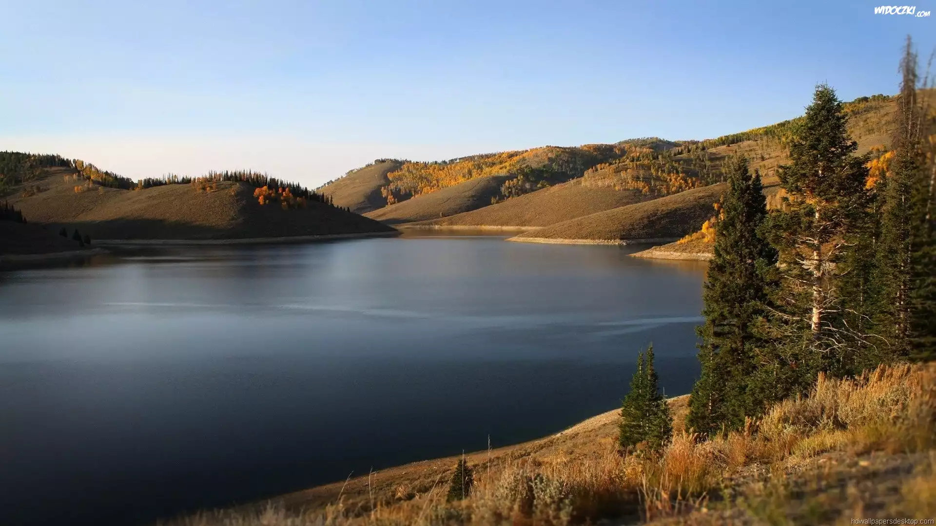Jezioro, Wzgórza, Drzewa