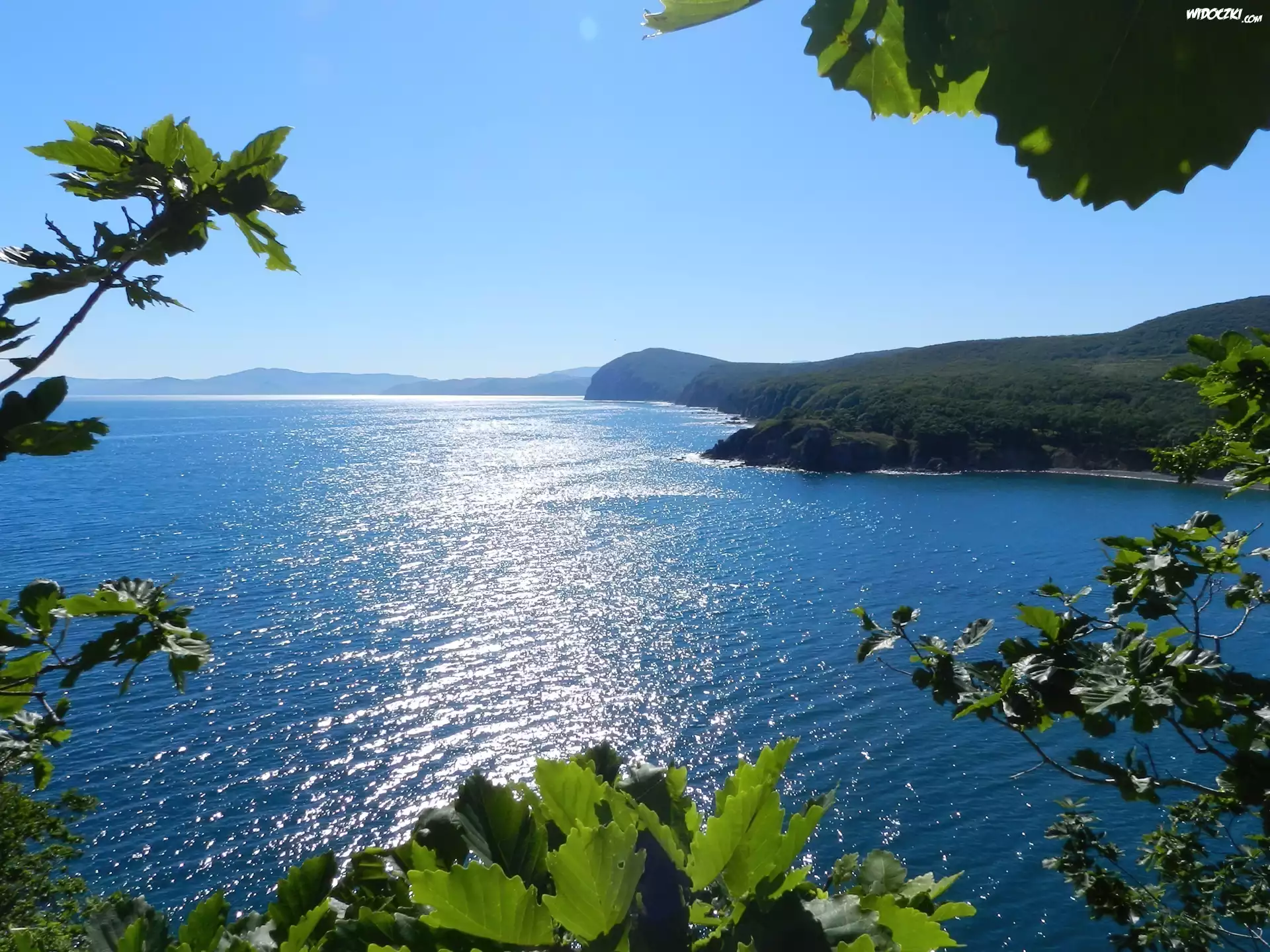 Jezioro, Wzgórza, Liście