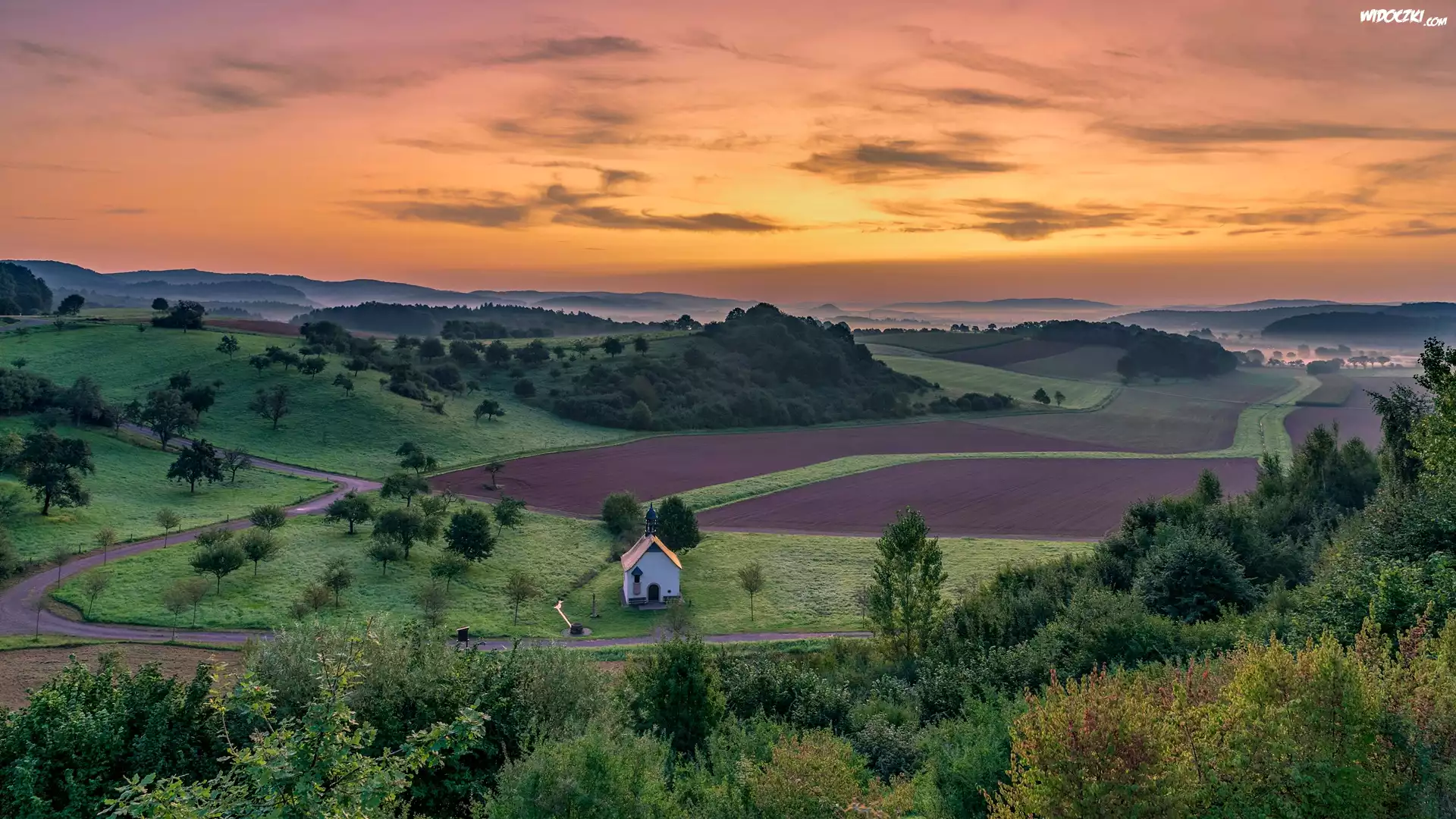 Drzewa, Kapliczka, Pola, Wzgórze