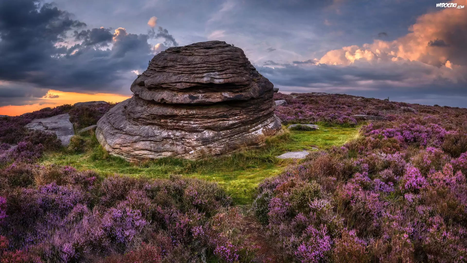 Park Narodowy Peak District, Wzgórze, Over Owler Tor, Skała, Formacja skalna, Wrzosy, Wrzosowisko, Anglia
