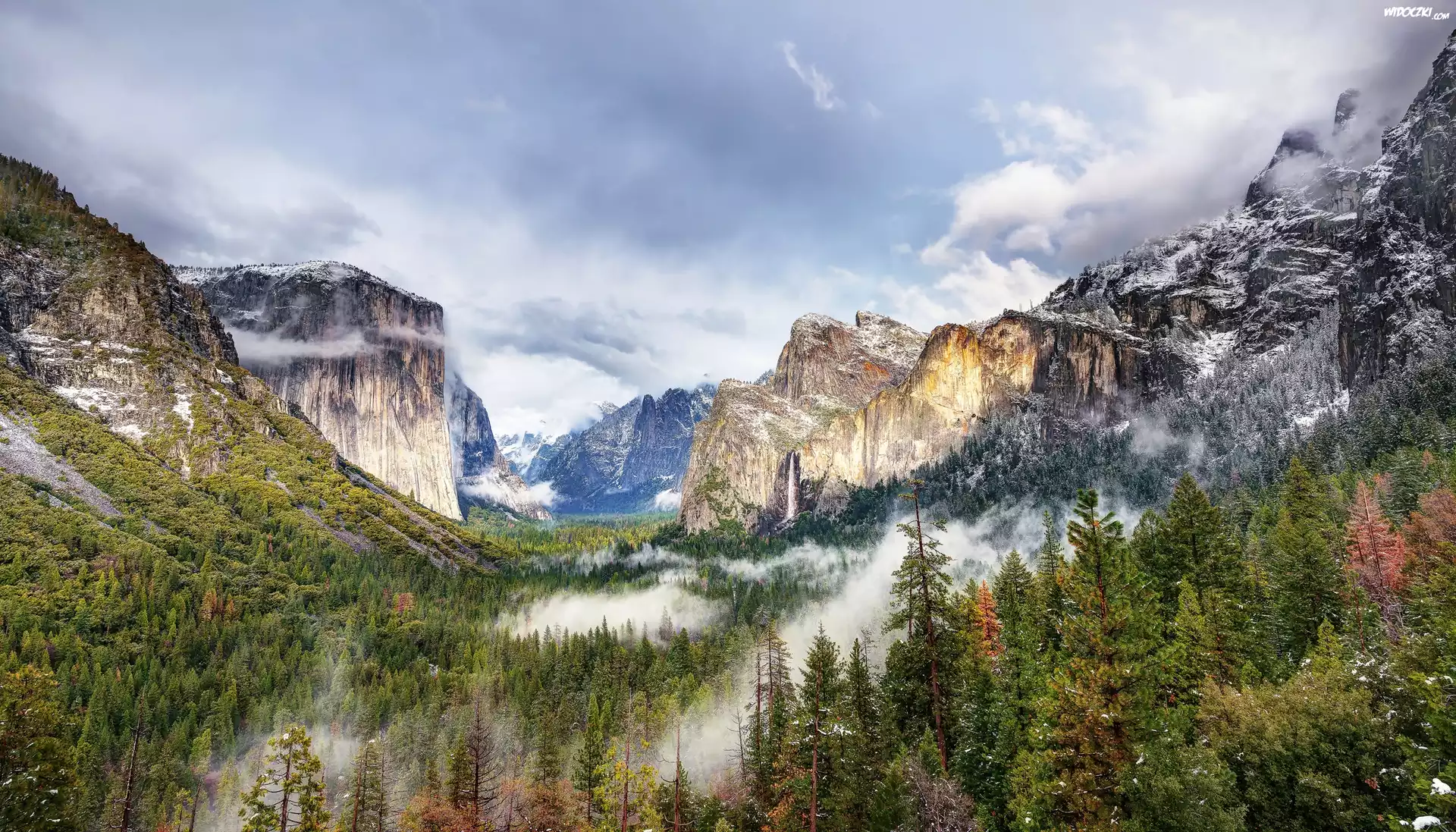 Stany Zjednoczone, Stan Kalifornia, Park Narodowy Yosemite, Dolina Yosemite Valley, Góry, Las, Mgła