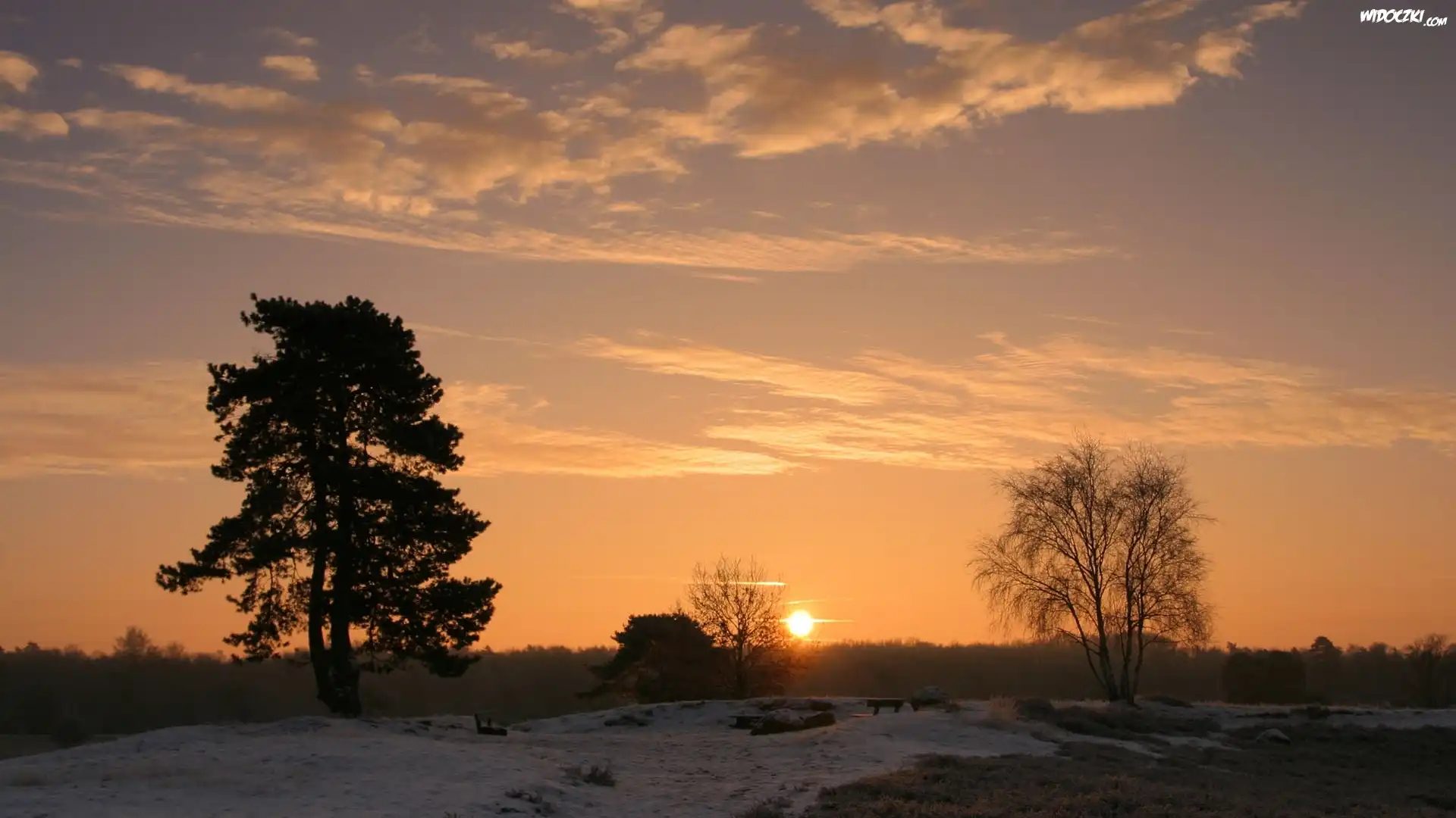 Zachód, Słońca, Drzewa, Śnieg