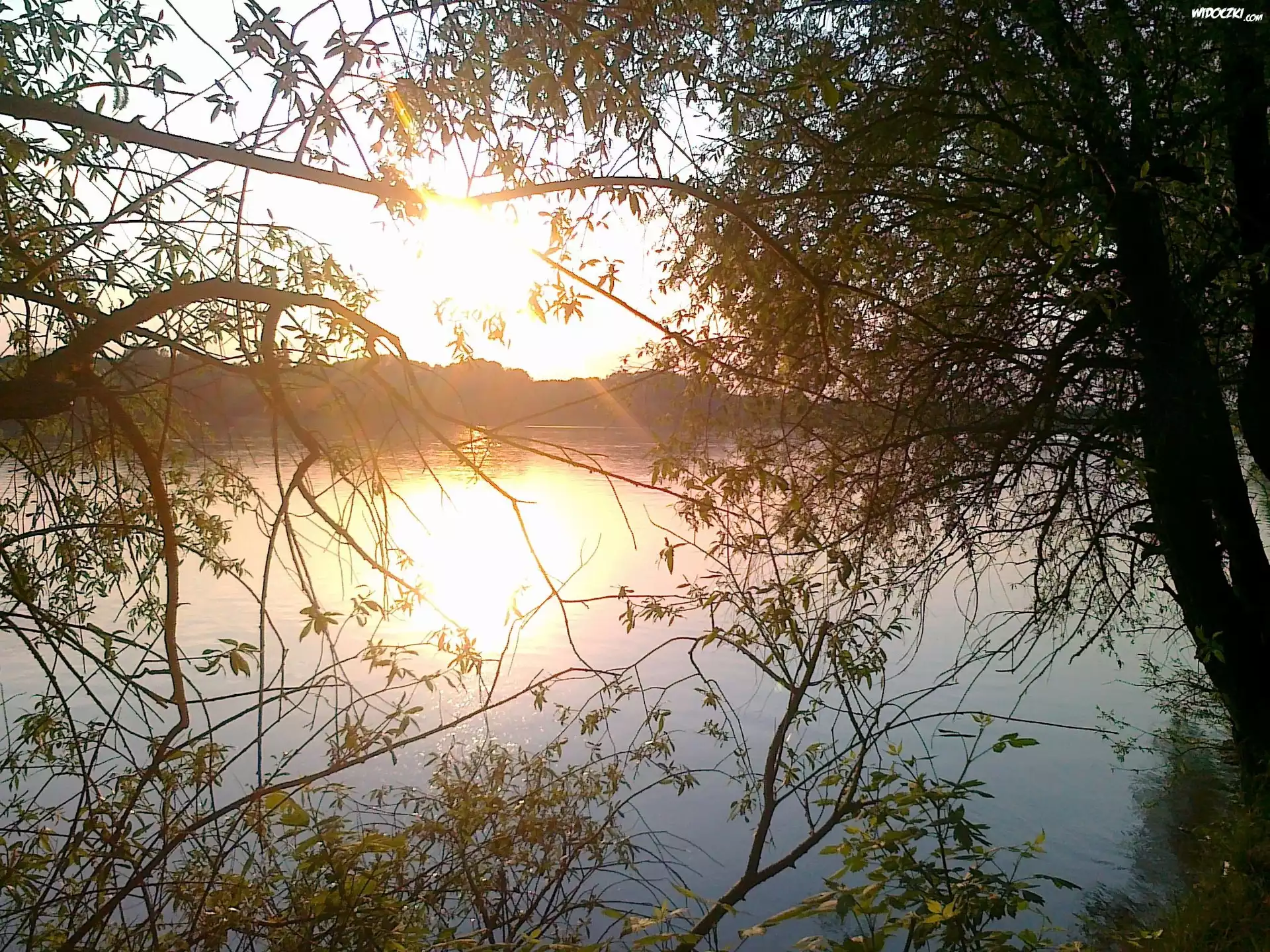 Zachód, Słońca, Jezioro, Drzewa