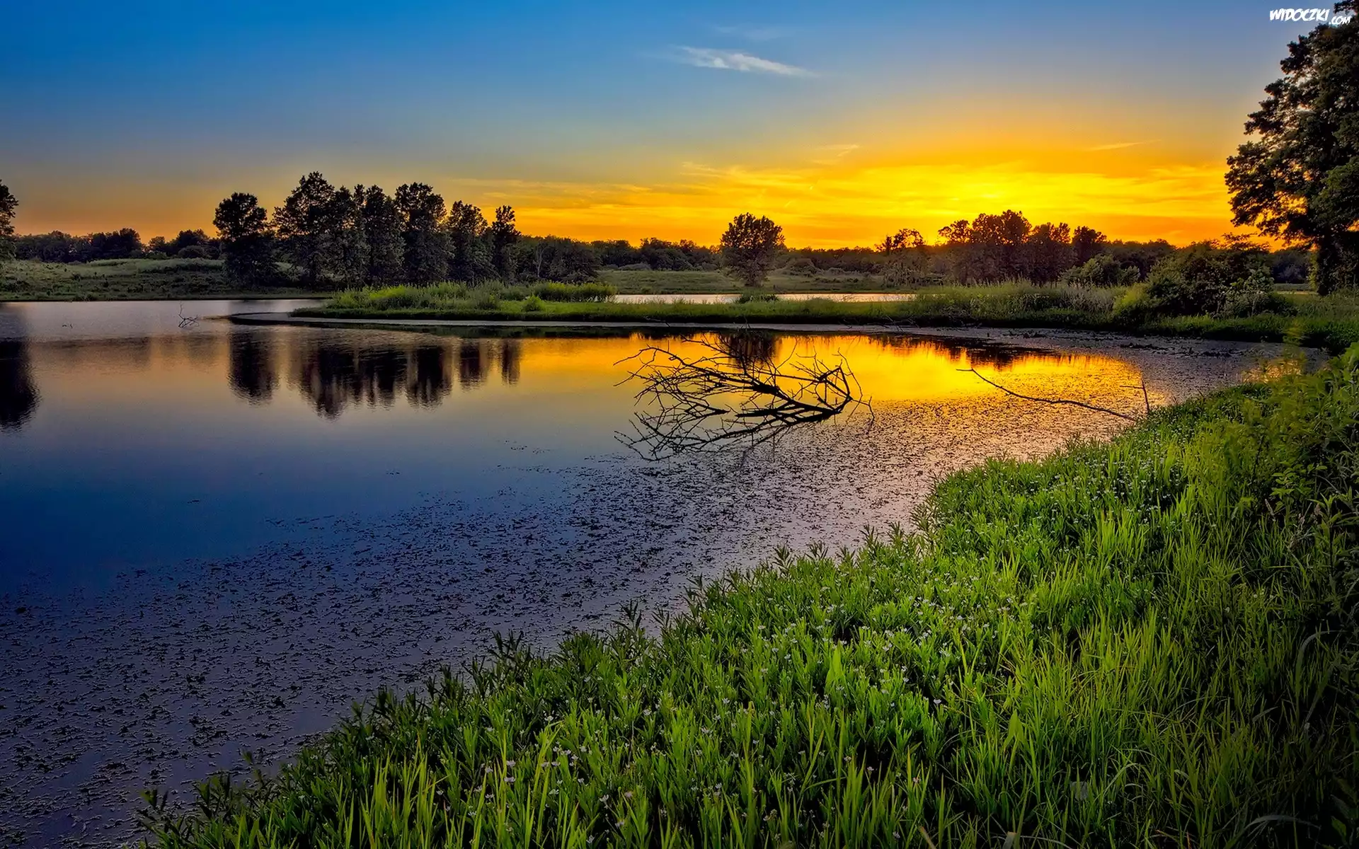Zachód, Słońca, Jezioro, Drzewa