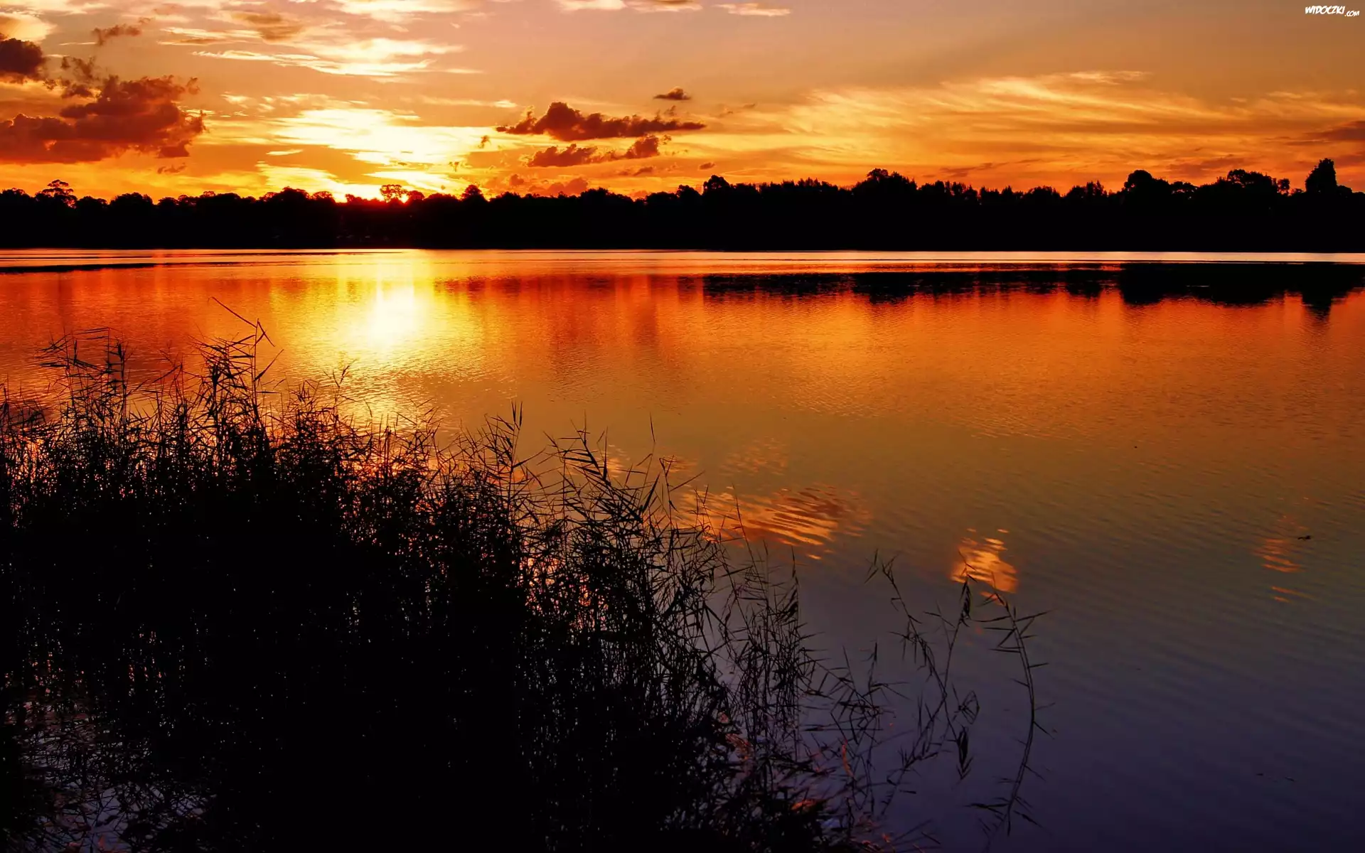 Zachód, Słońca, Las, Jezioro