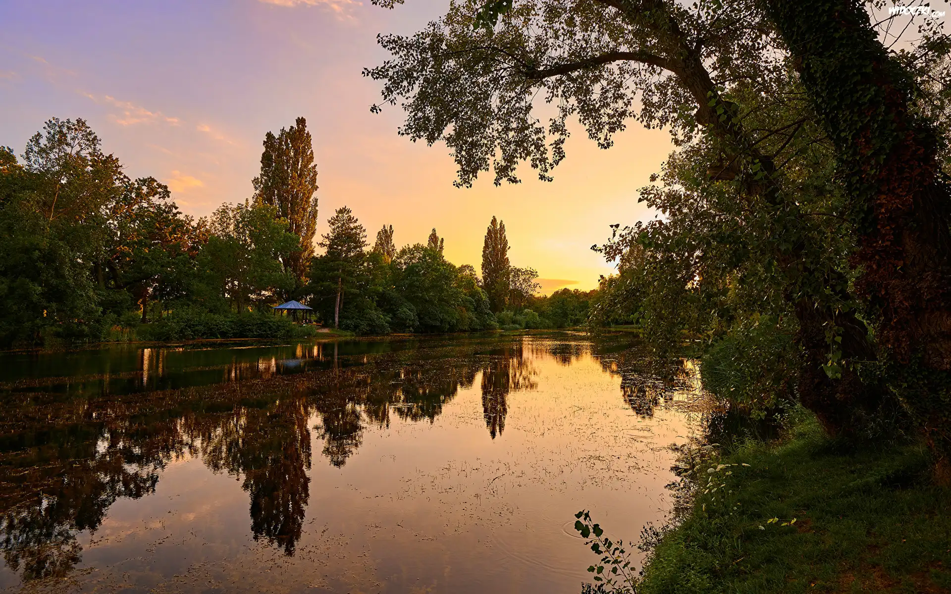 Zachód słońca, Staw, Park, Drzewa