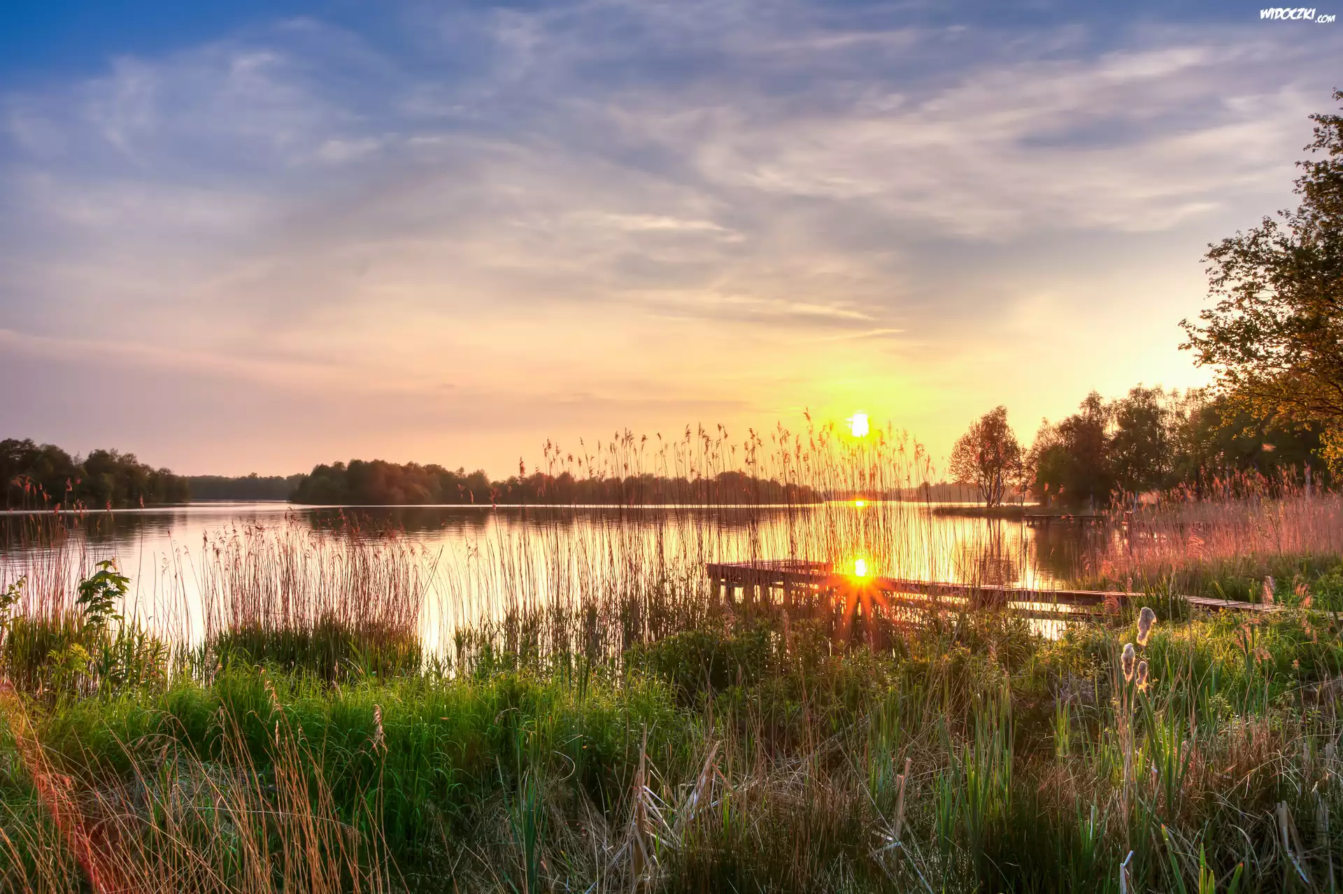 Jezioro Hoornsemeer, Zachód słońca, Trzciny, Szuwary, Pomost, Trawa, Prowincja Groningen, Holandia