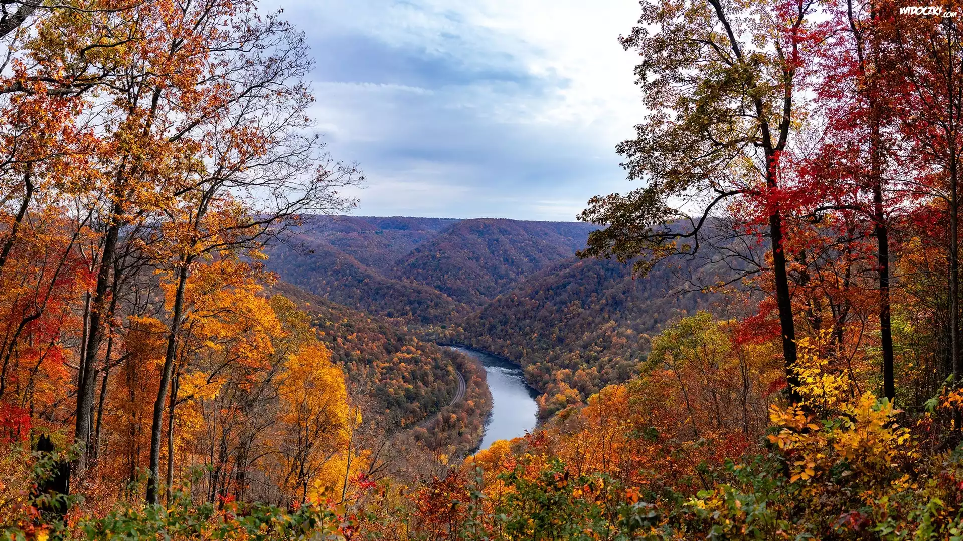 Stany Zjednoczone, Wirginia Zachodnia, Wąwóz, Rzeka, New River Gorge Bridge, Jesień, Drzewa, Lasy