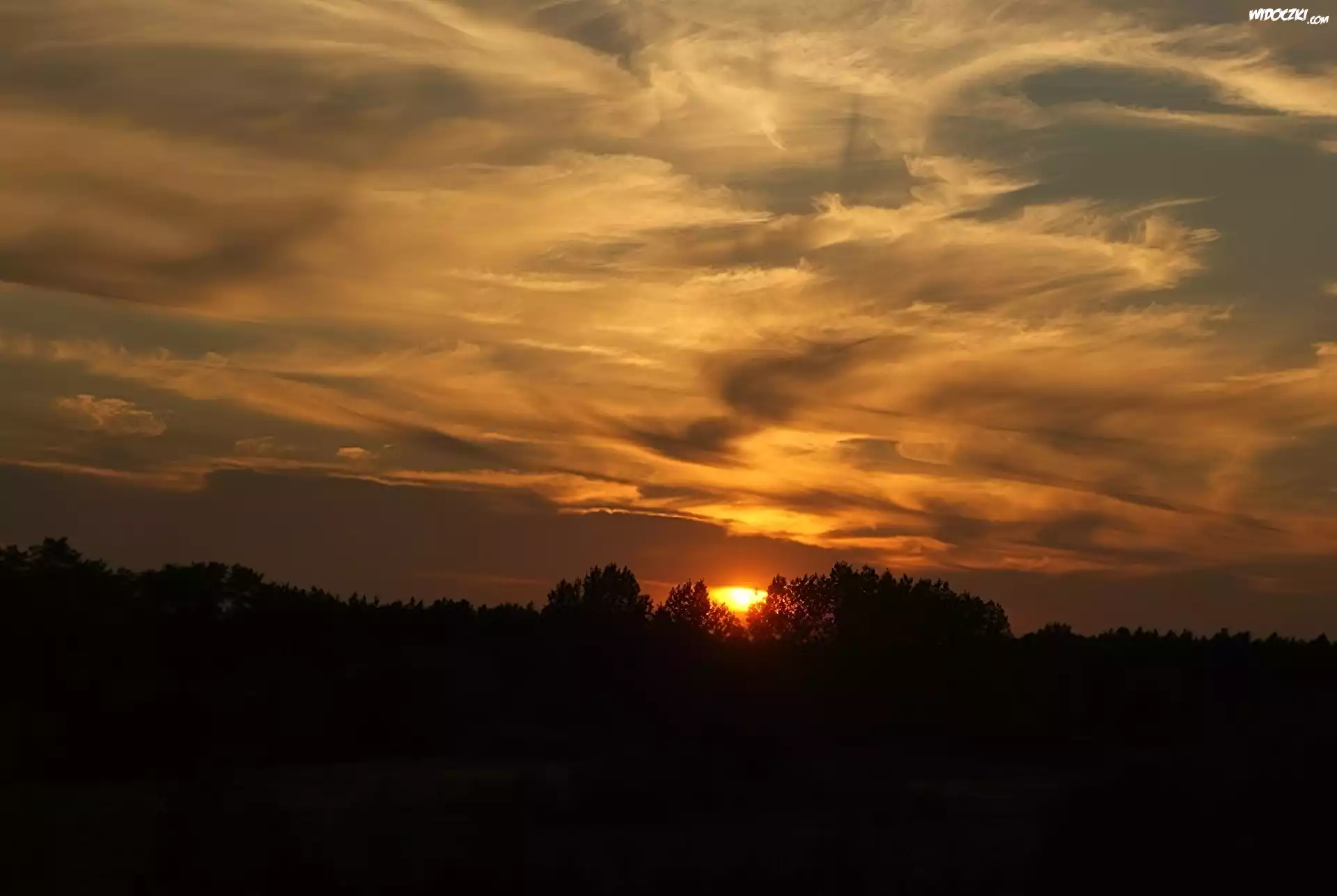 Zachodzące, Słońce, Nad, Lasem