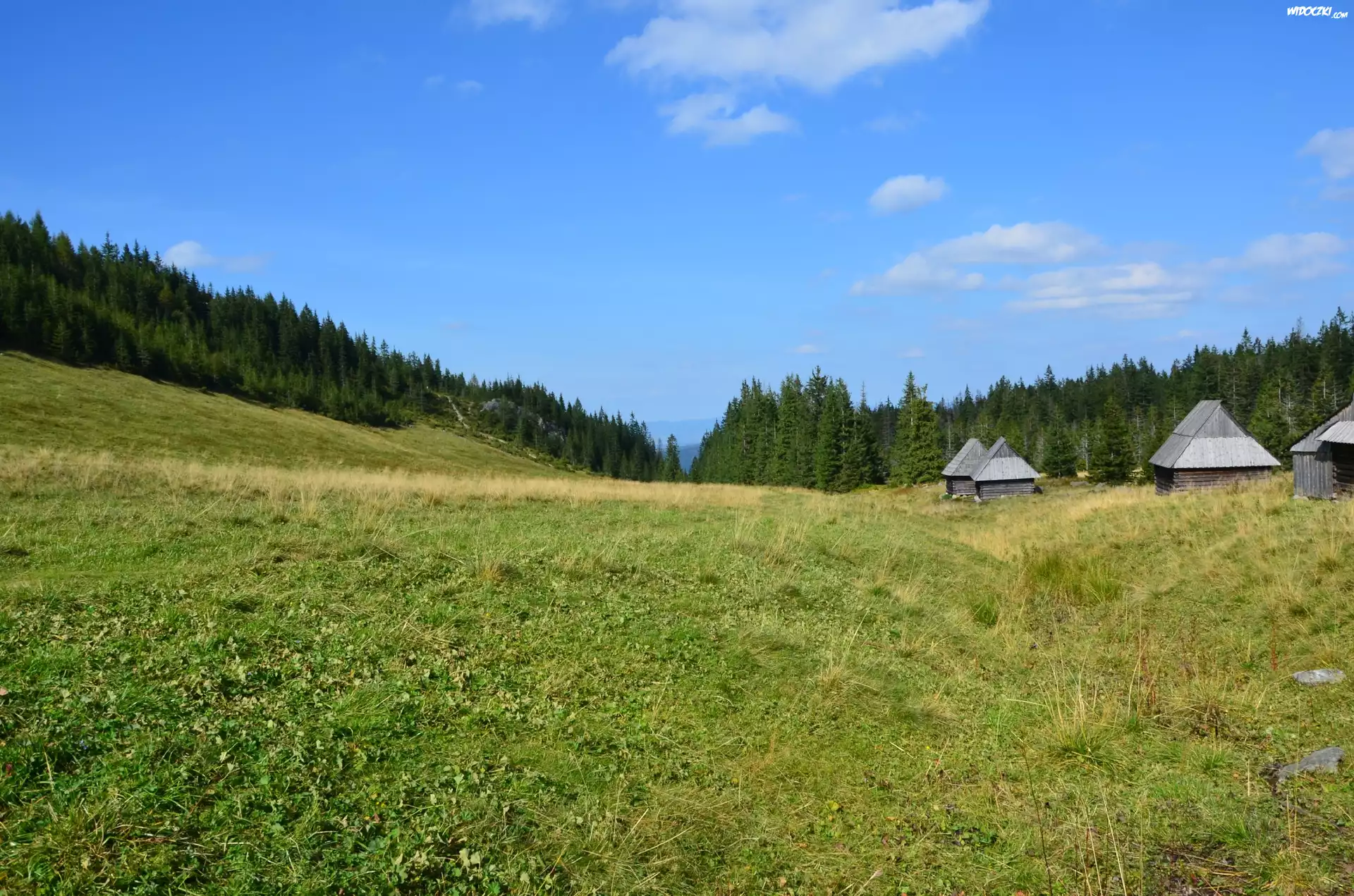 Łąka, Zakopane, Bacówka