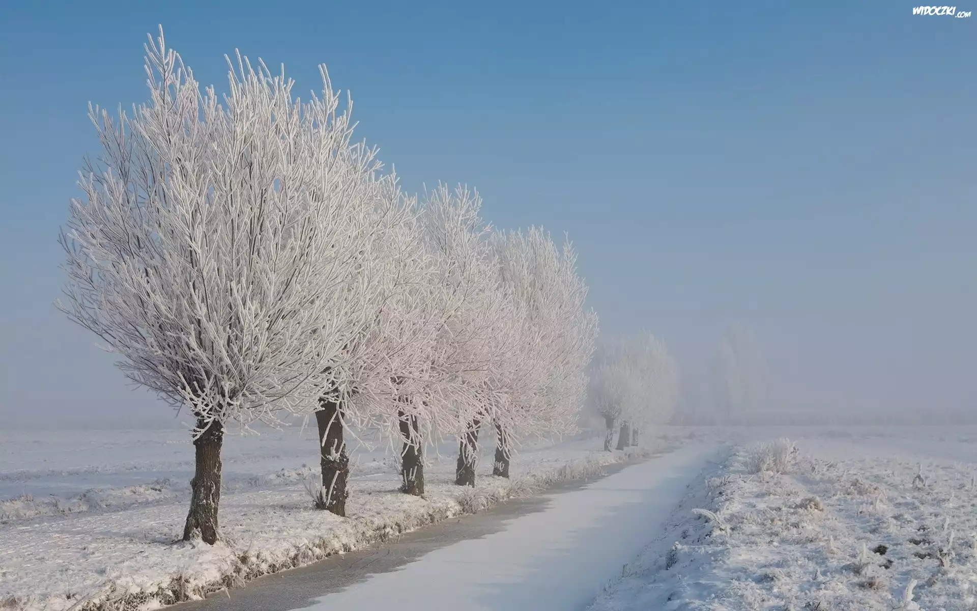 Zamarznięta, Rzeka, Oszronione, Drzewa, Pole