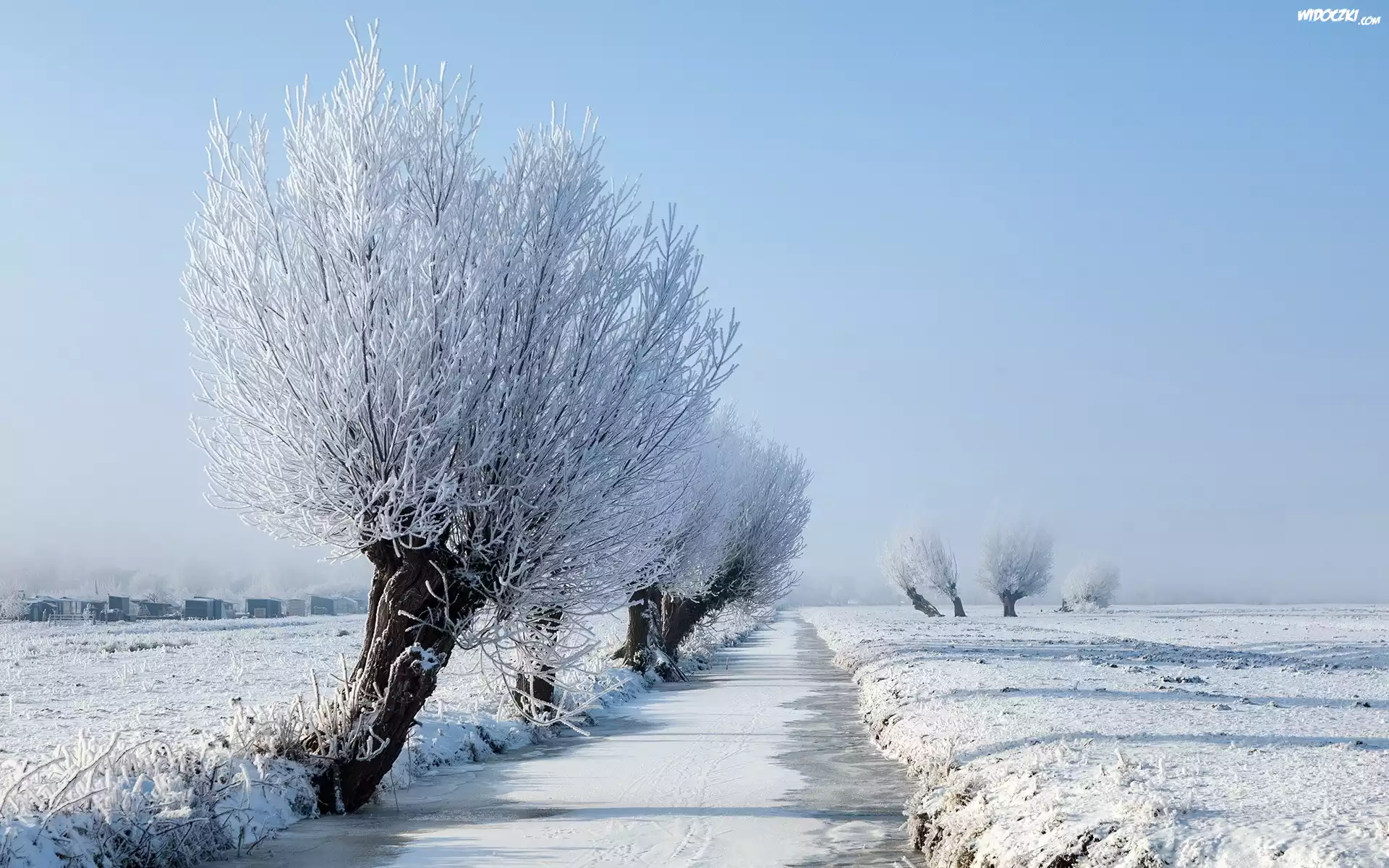 Zamarznięta, Rzeka, Drzewa, Pola, Śnieg