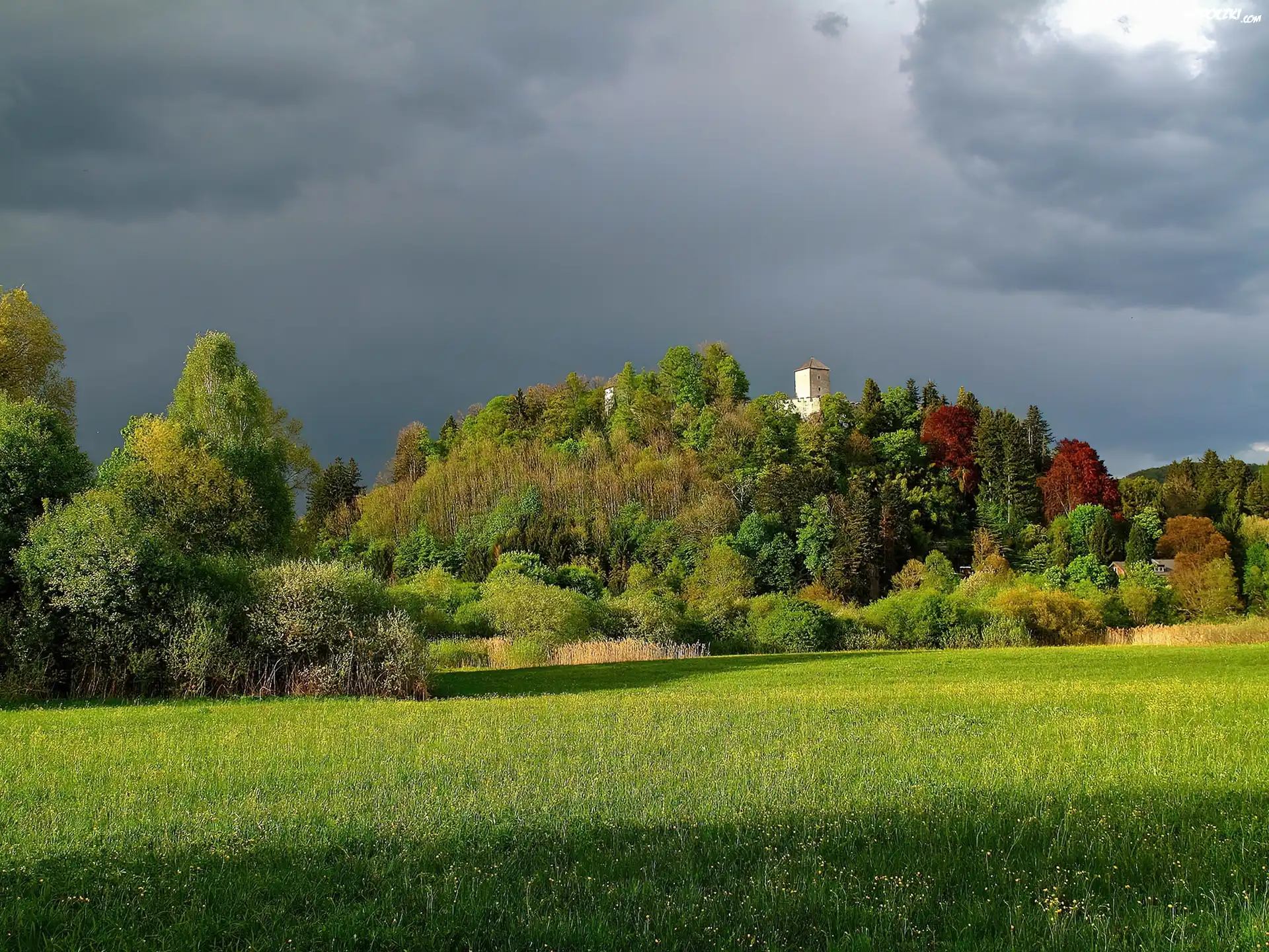 Zamek, Wzgórze, Drzewa, Łąka