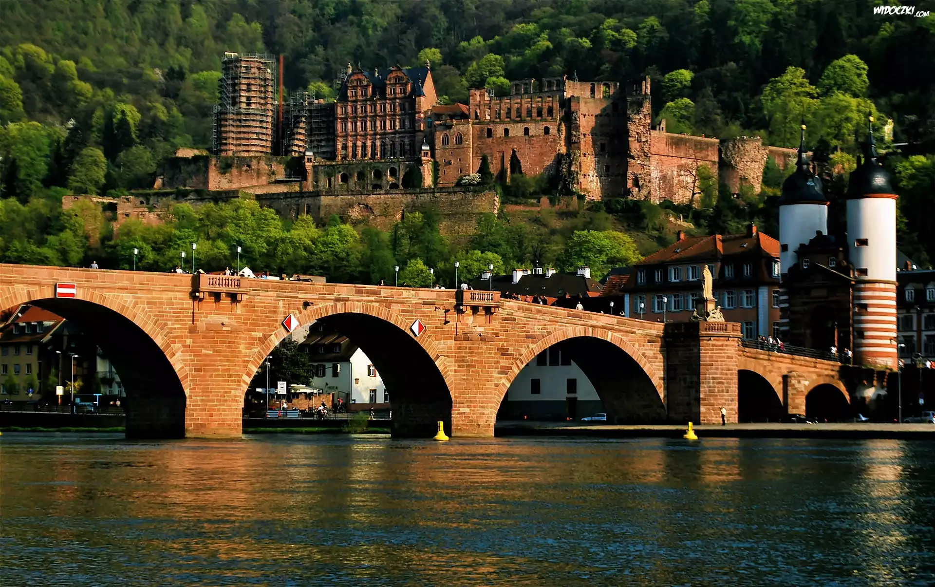 Heidelberg, Zamek, Domy, Rzeka, Neckar, Most, Lasy